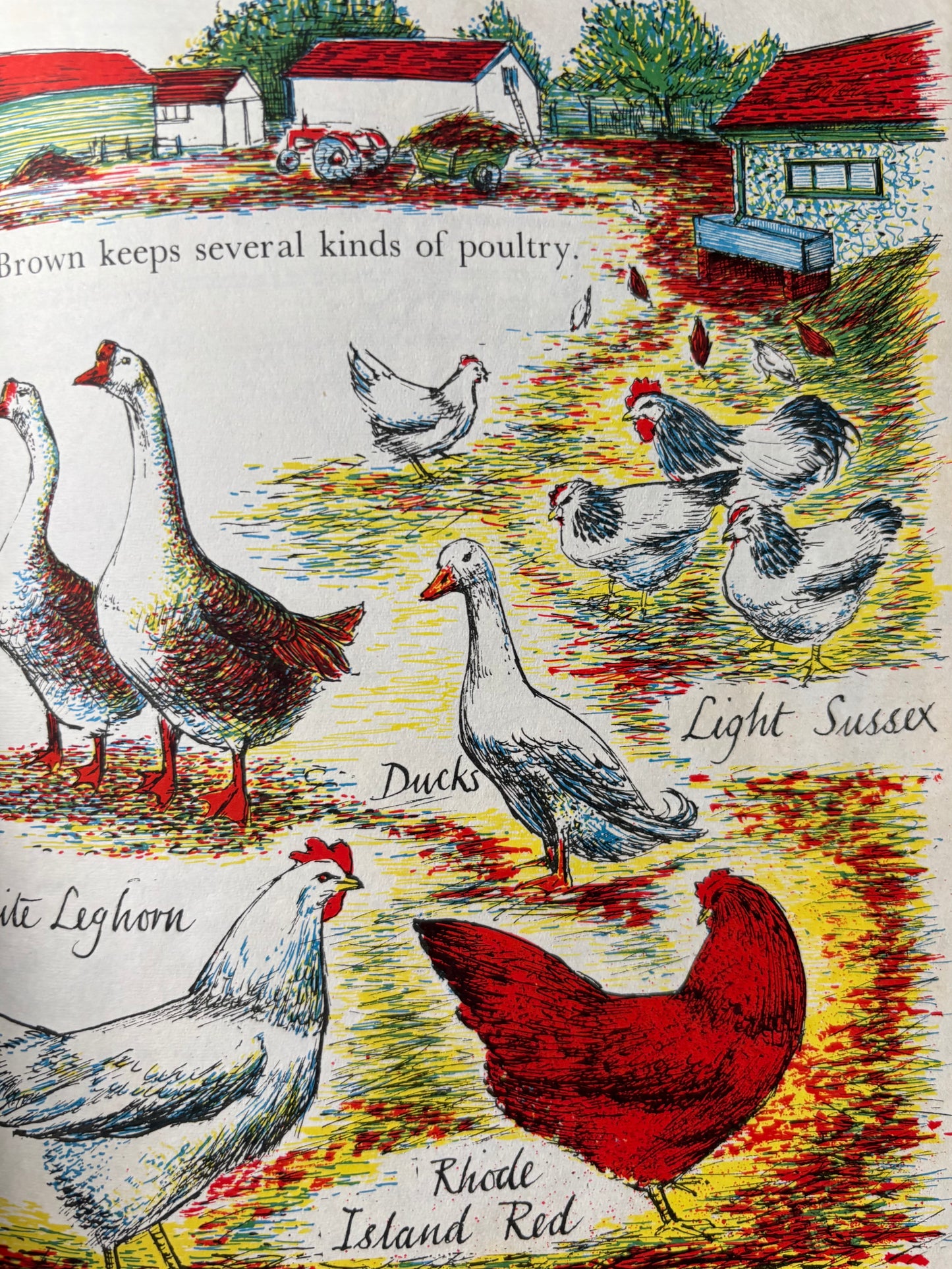 Barbara Lambourne HOME FARM AT WORK Chatto & Windus FARMING ART 1957 Schools Book