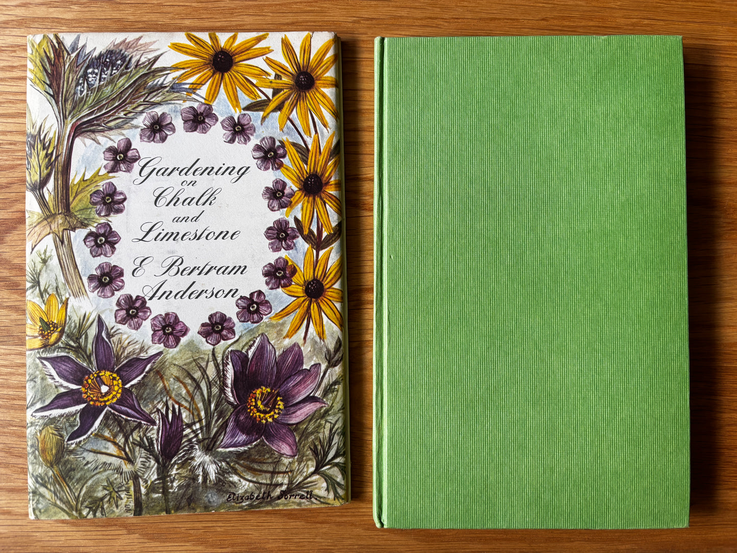 Elizabeth Sorrell GARDENING ON CHALK & LIMESTONE 1st DJ 1965 E Bertram Anderson