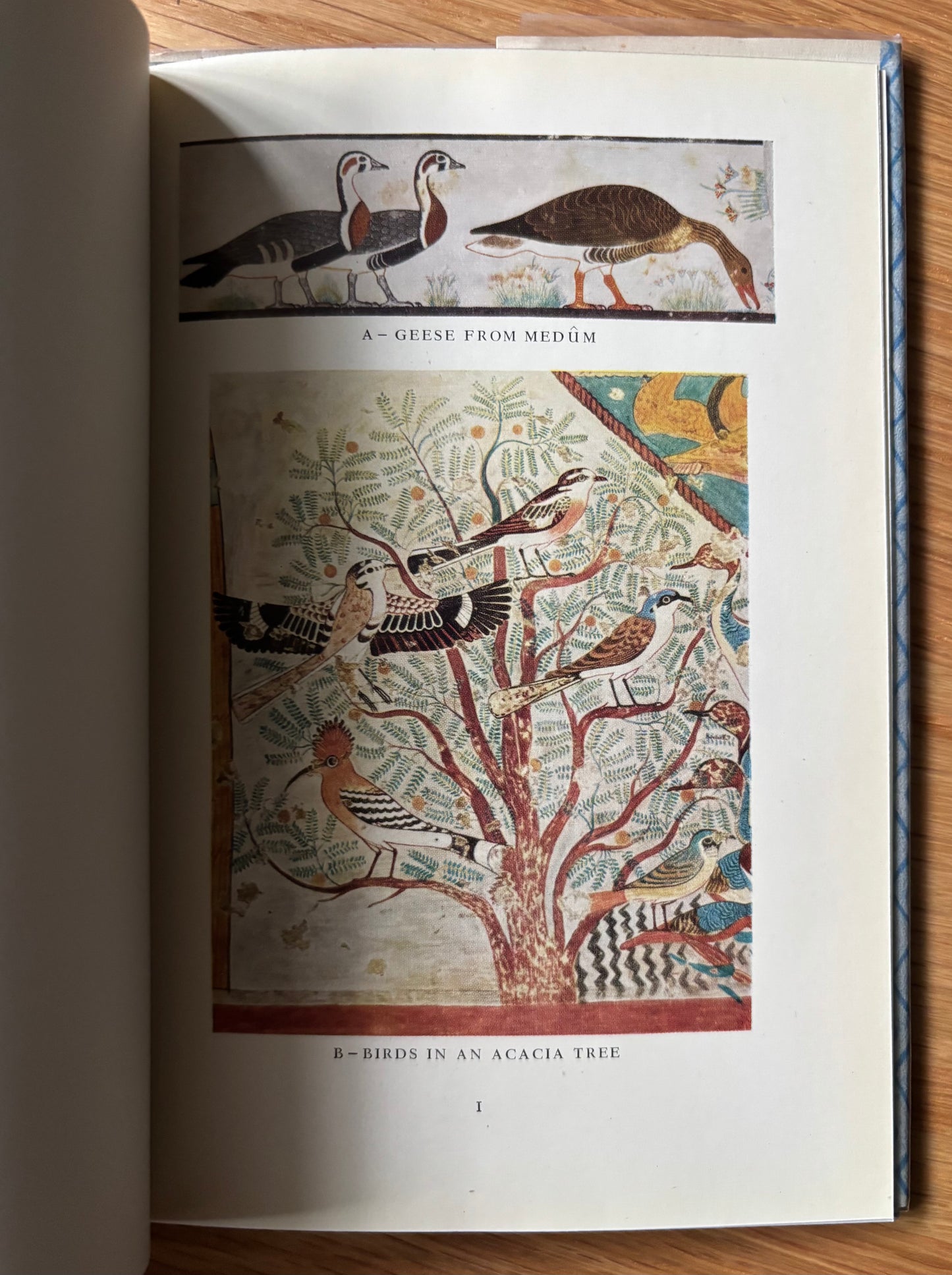 Nina Davies EGYPTIAN PAINTINGS Patricia Lyle King Penguin Book DJ 1954 ART DESIGN K71