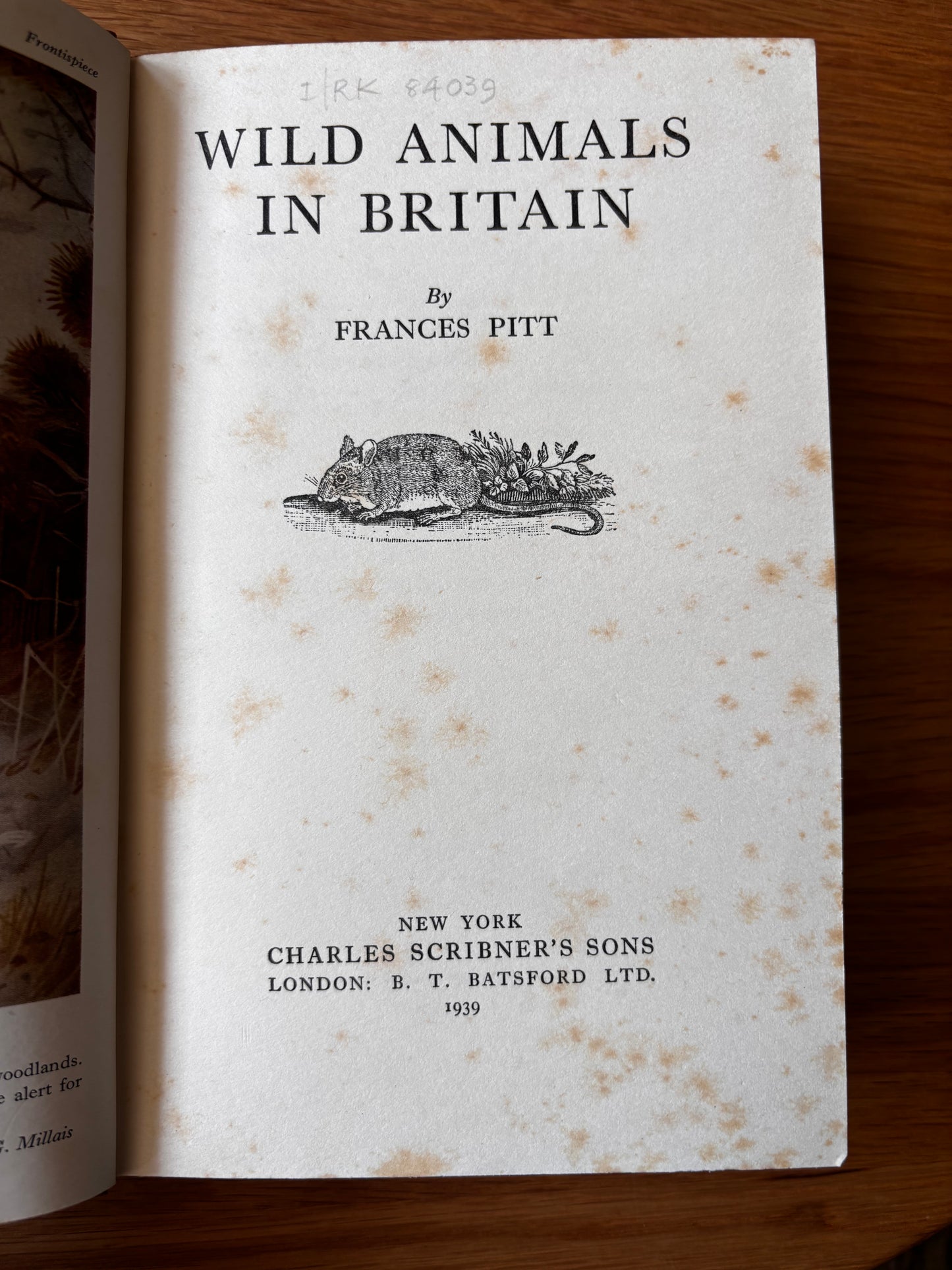 John Nash WILD ANIMALS IN BRITAIN 1st Ed DJ Batsford 1939 Frances Pitt