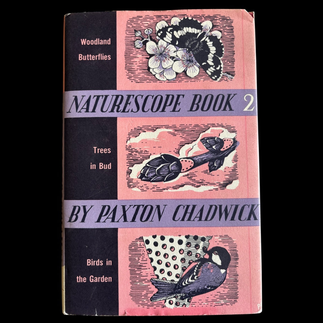 NATURESCOPE BOOK Trees Birds Butterflies PAXTON CHADWICK 1st Ed 1960 Cassell