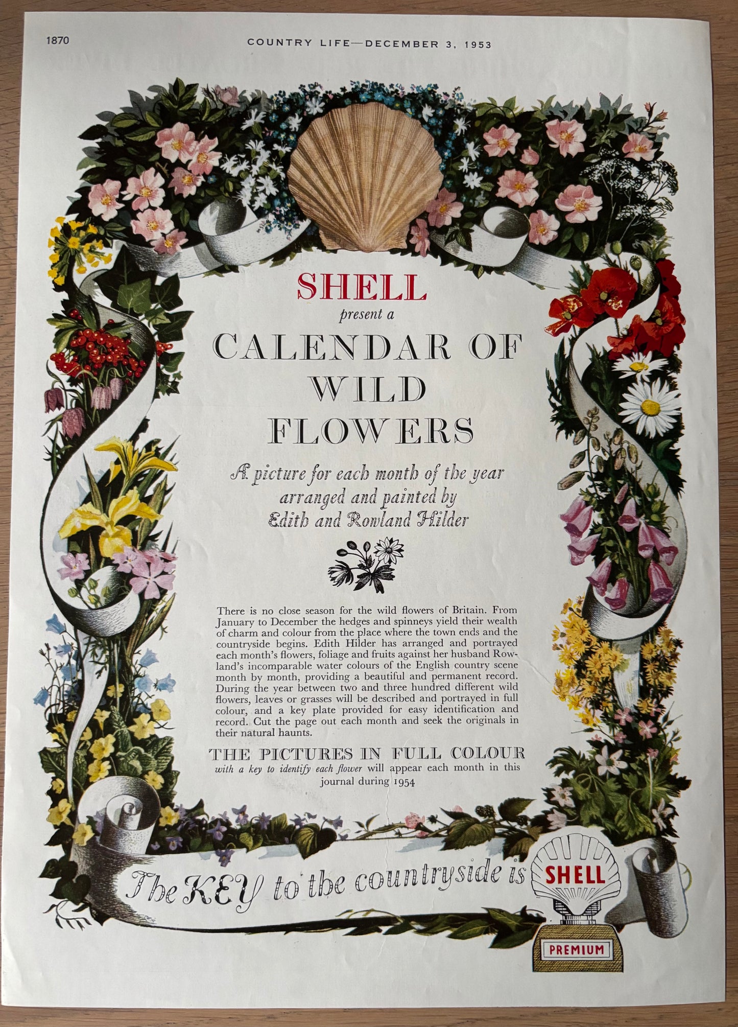 1950's Rowland Hilder CALENDAR OF WILD FLOWERS ADVERT Original Ad 1953 Edith