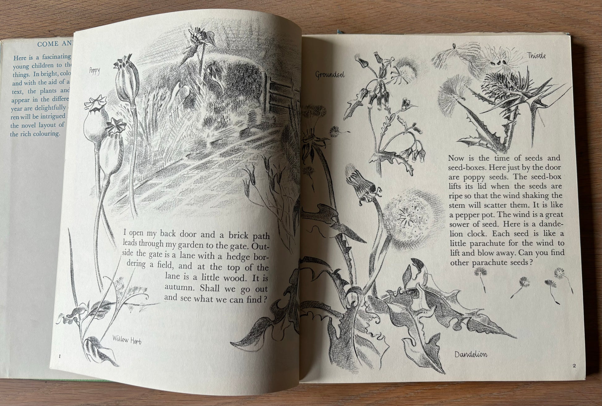 Trekkie Ritchie Parsons LIVING THINGS Chatto & Windus NATURE BOOK ILLUS - transpontinebooks