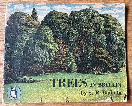 S R Badmin TREES IN BRITAIN  Puffin Picture Book No 31 1st  Ed  ILLUSTRATED