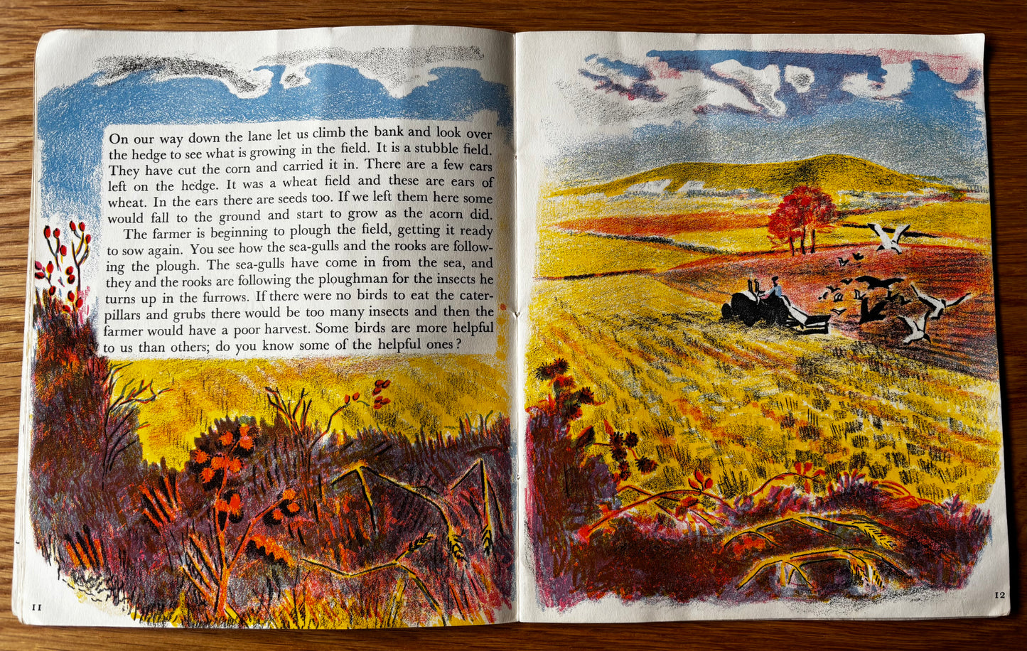 Trekkie Ritchie Parsons COME AND SEE IN AUTUMN Chatto & Windus NATURE BOOK Open Your Eyes