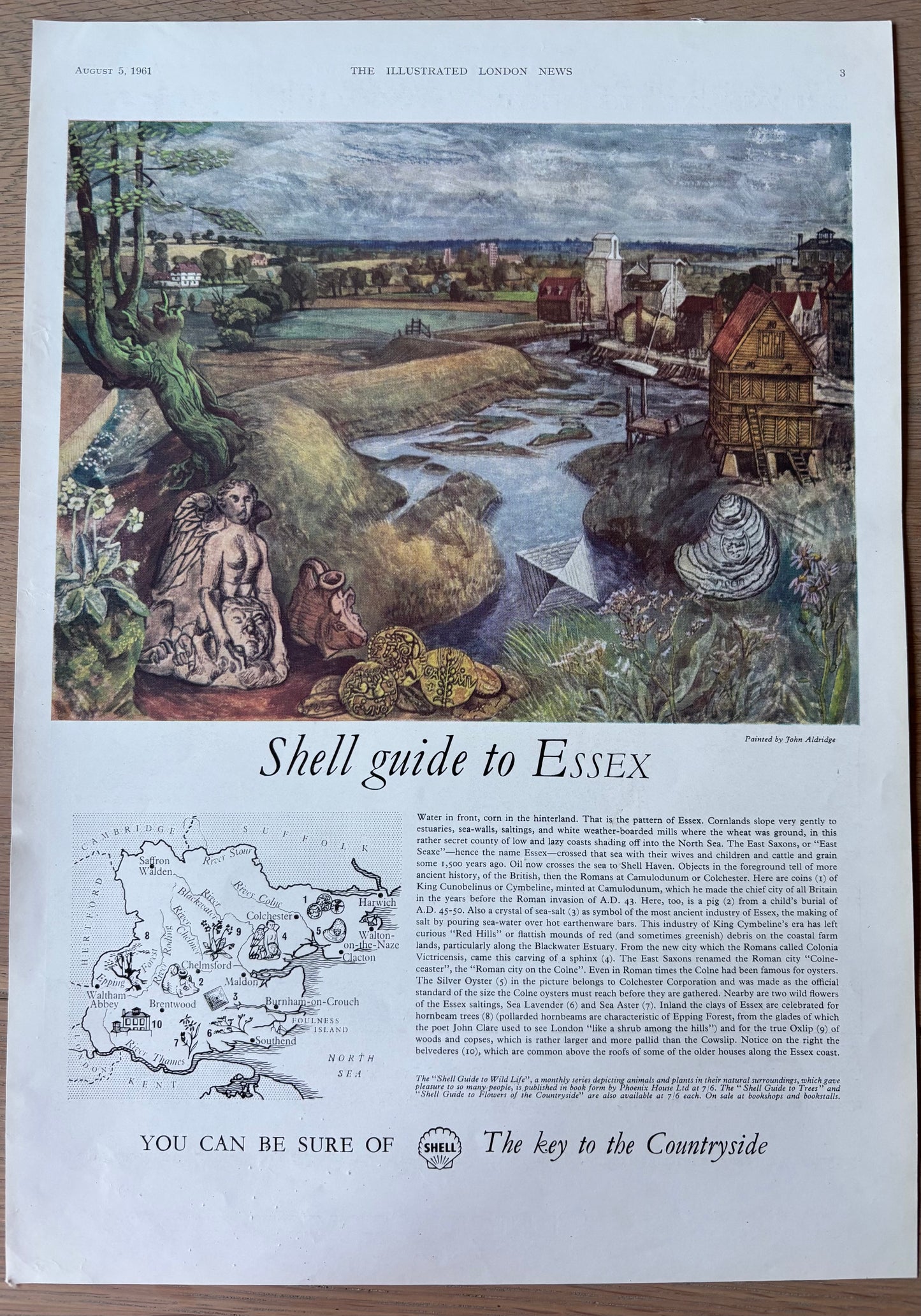 John Aldridge SHELL GUIDE TO ESSEX ADVERT Original Large Ad 1961