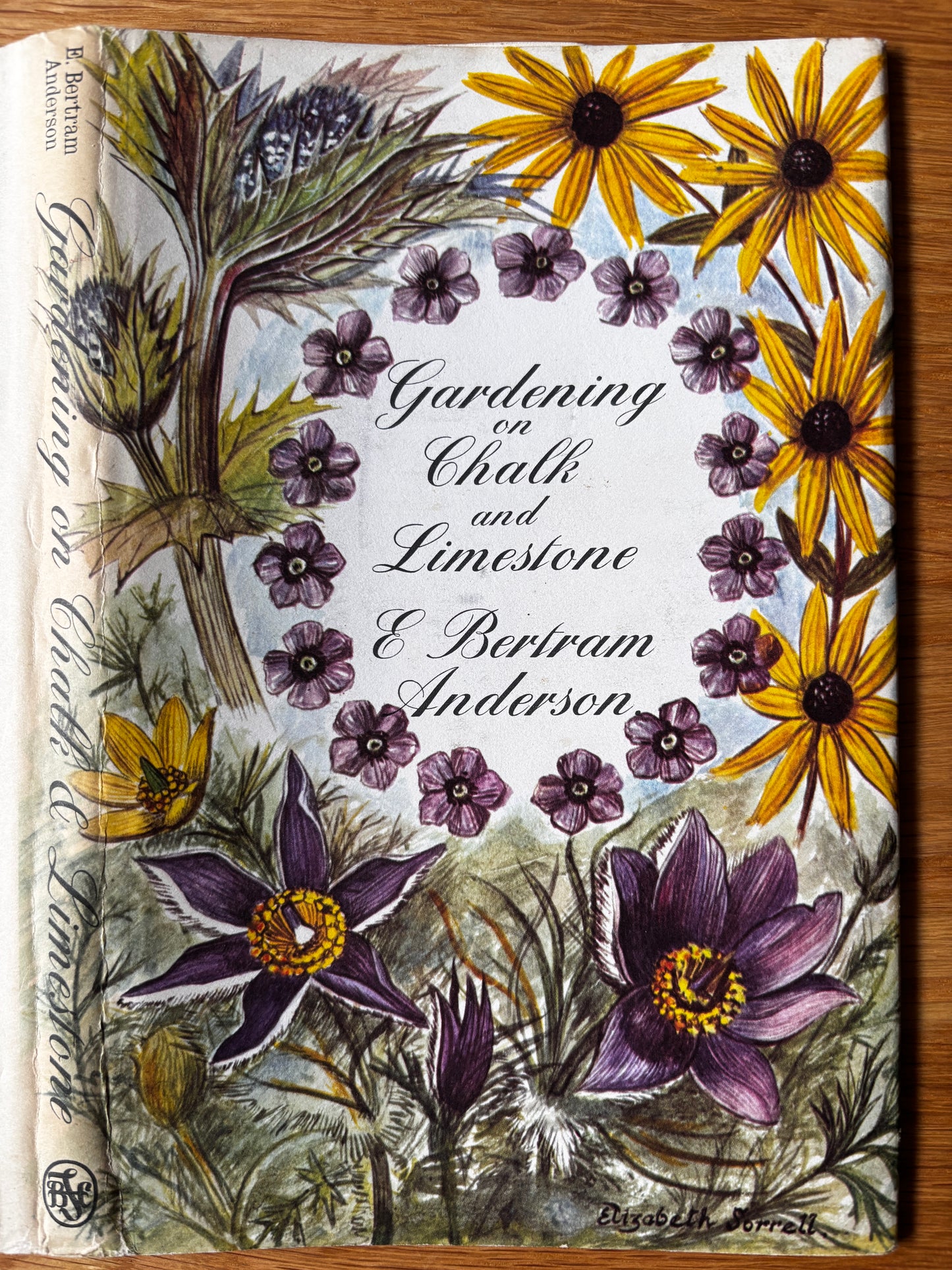 Elizabeth Sorrell GARDENING ON CHALK & LIMESTONE 1st DJ 1965 E Bertram Anderson
