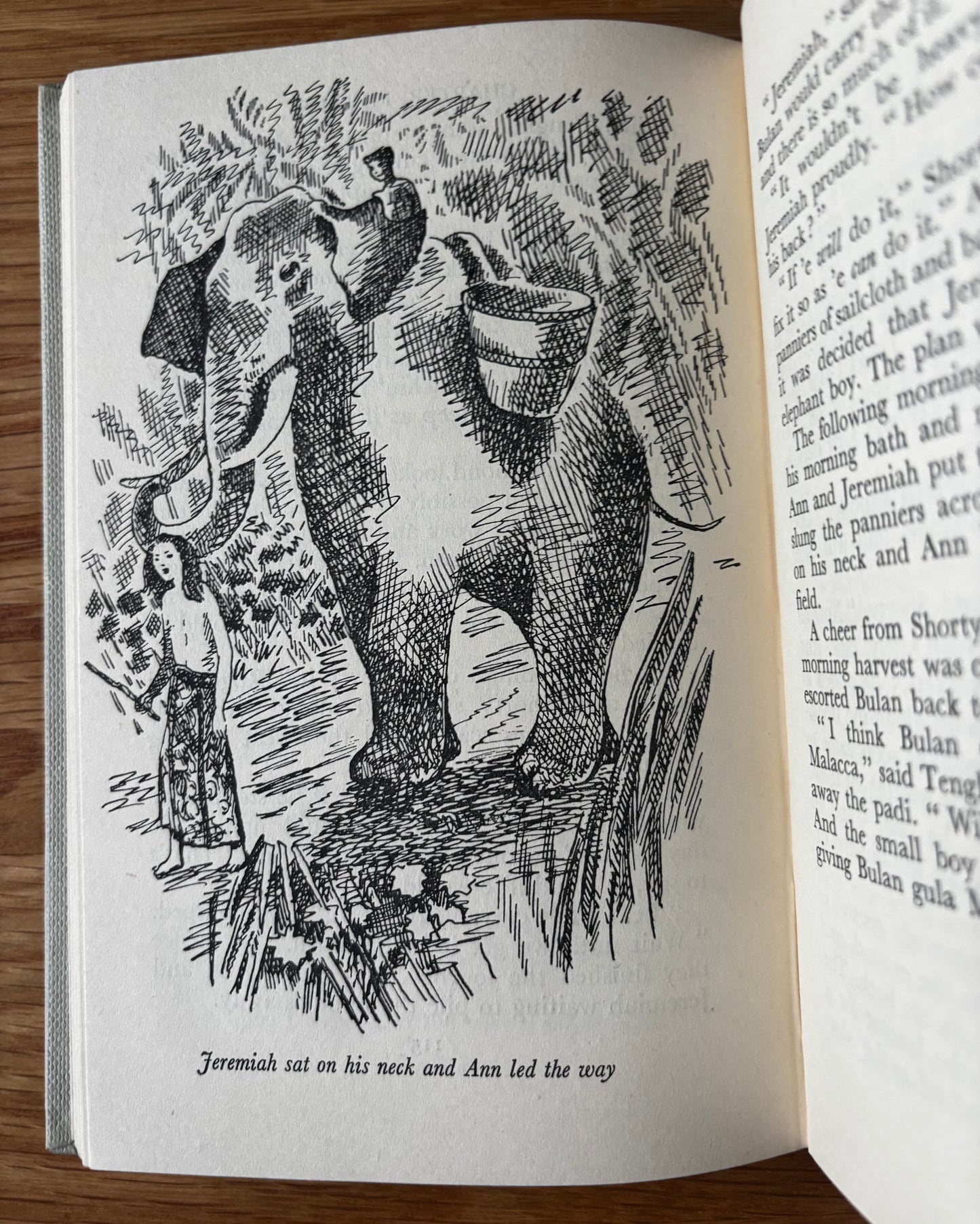 Trekkie Ritchie THE HEREWEGOES Hogarth Press 1948 Barbara Baker Parsons ILLUSTRATED