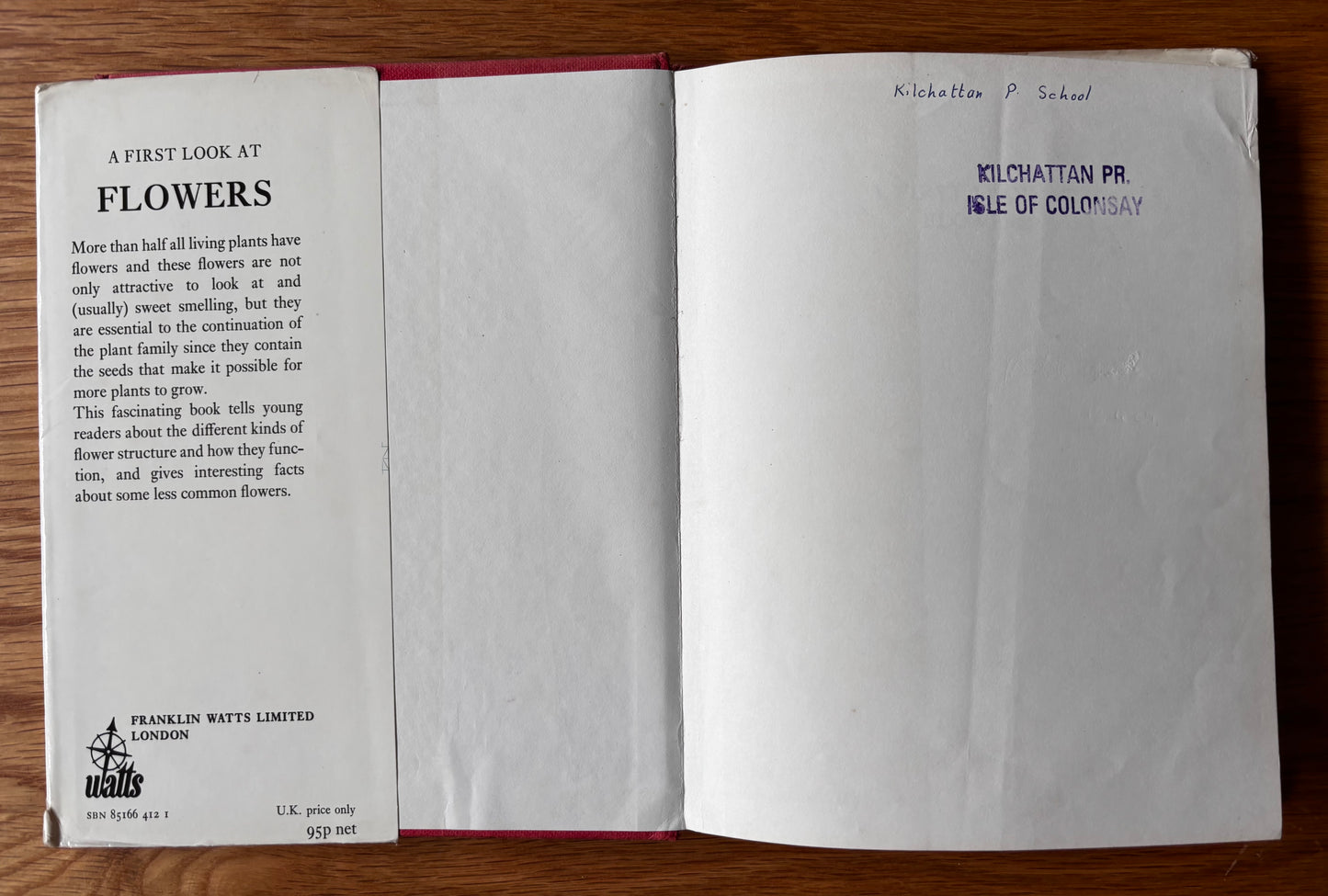 Lida Brychta A FIRST LOOK AT FLOWERS 1st Ed DJ 1973 Franklin Watts ILLUSTRATED