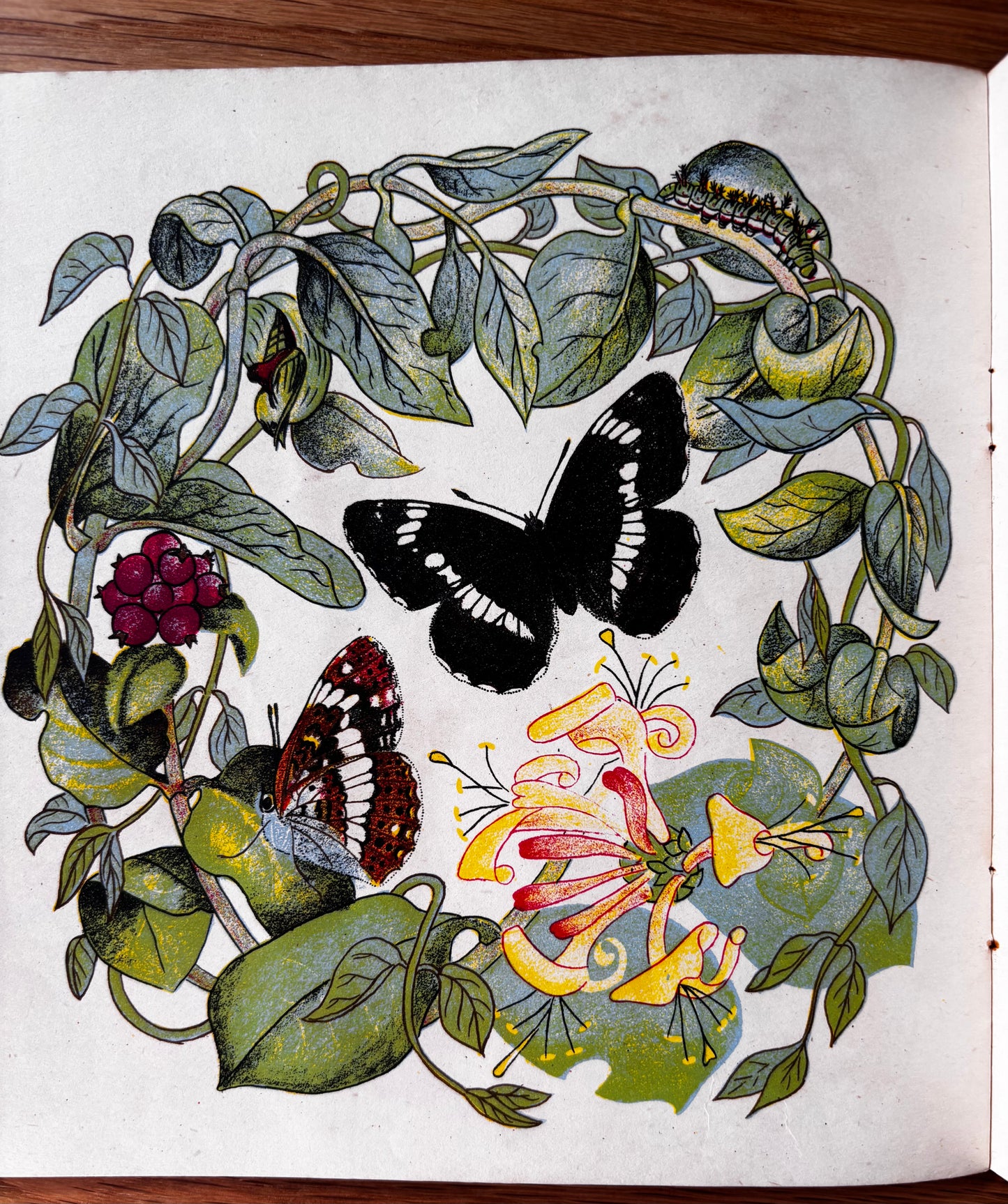 Richard Chopping BUTTERFLIES IN BRITAIN Puffin Picture Book ILLUSTRATED NATURE