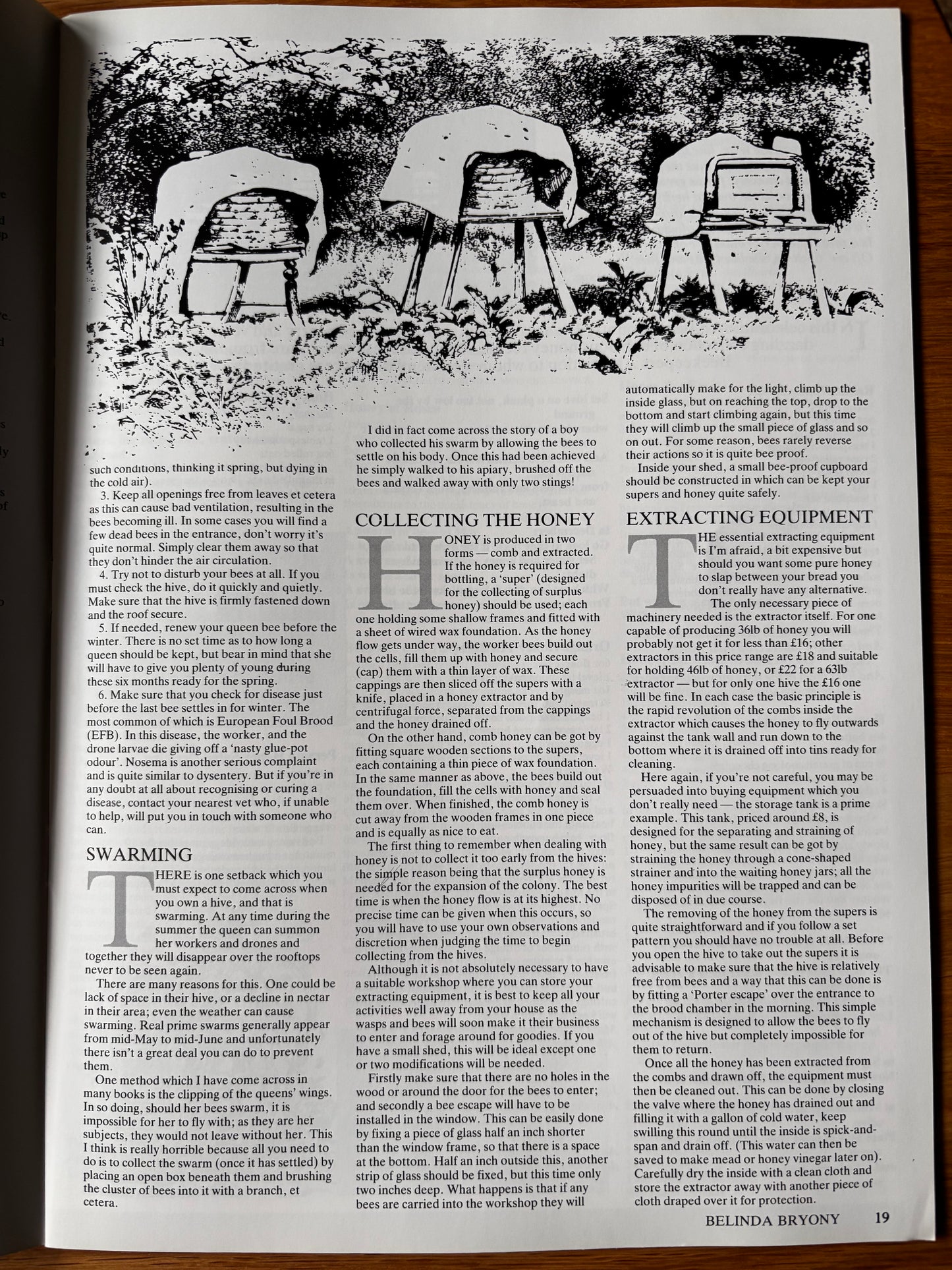 THE COUNTRY BAZAAR Magazine Summer 1987 BEES BEE KEEPING Eric Holt Andrew Haslen