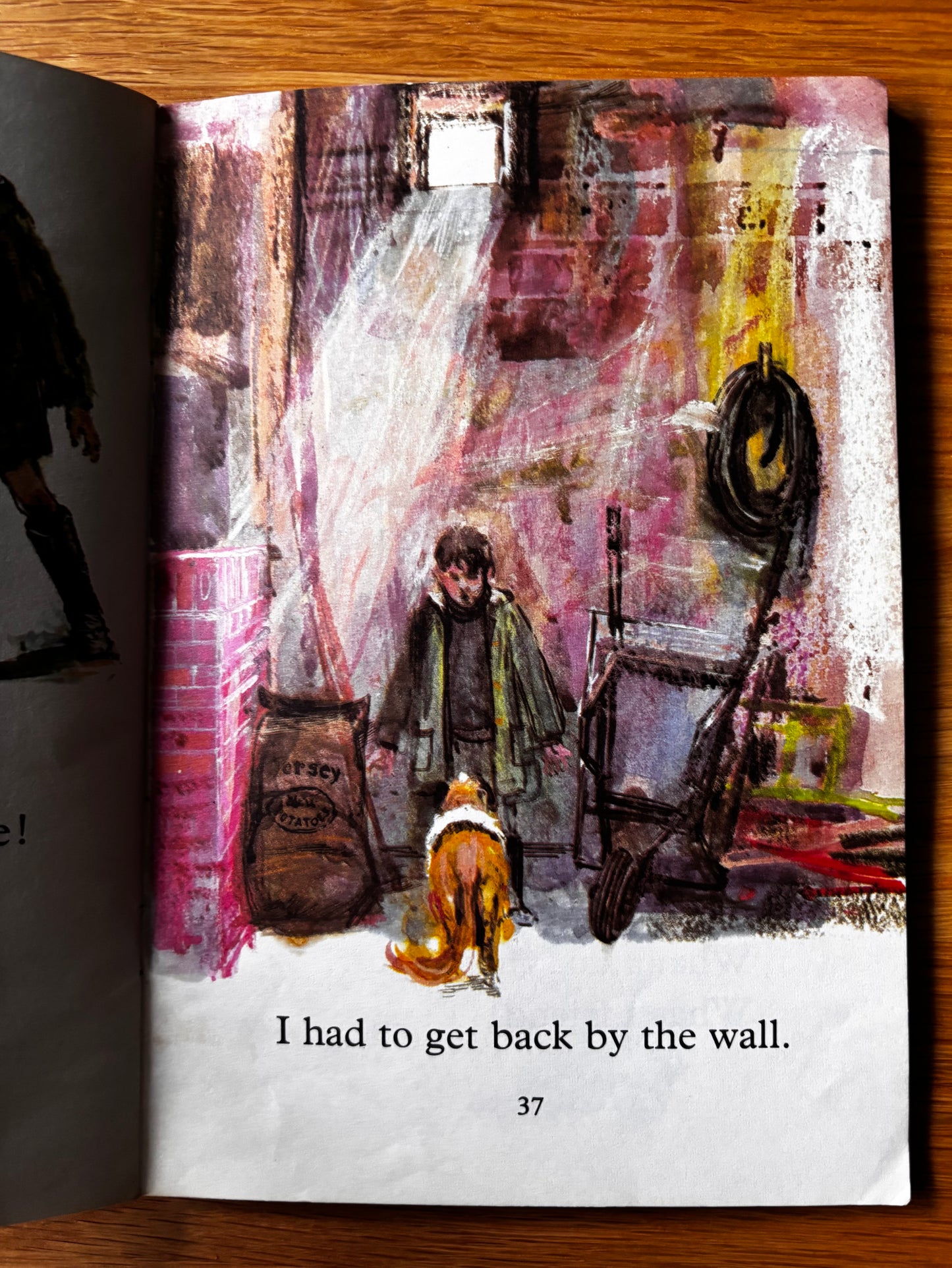 Trevor Stubley SHORTY THE HERO Dog Story Reading Book 1971 ILLUSTRATED GINN