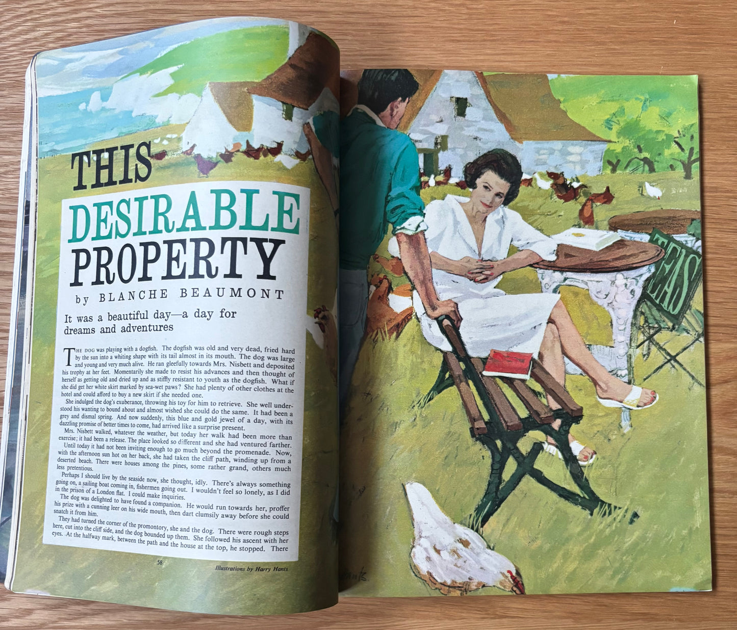 Robert Taverner HOMES AND GARDENS Magazine July 1964 VINTAGE Adrian Bailey