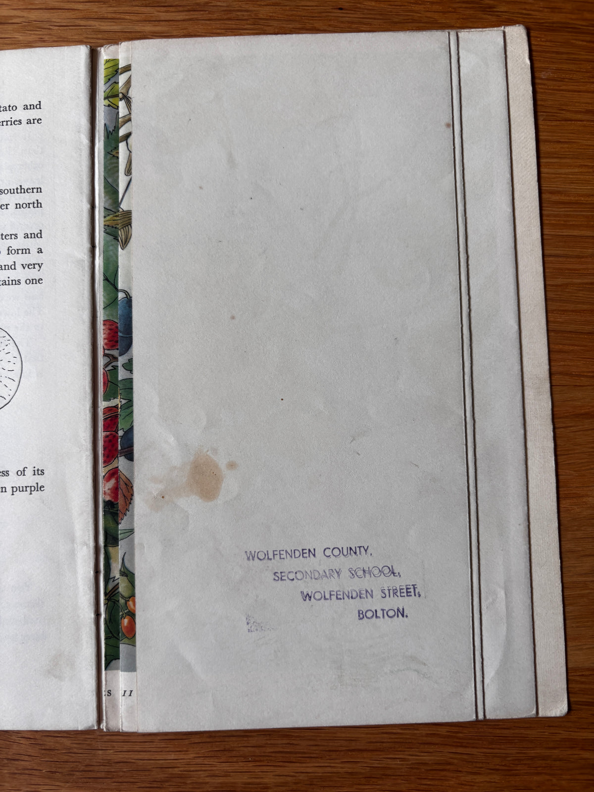 PANTOSCOPE BOOK Berries PAXTON CHADWICK 1st Ed 1960 Flower Fruit Cassell
