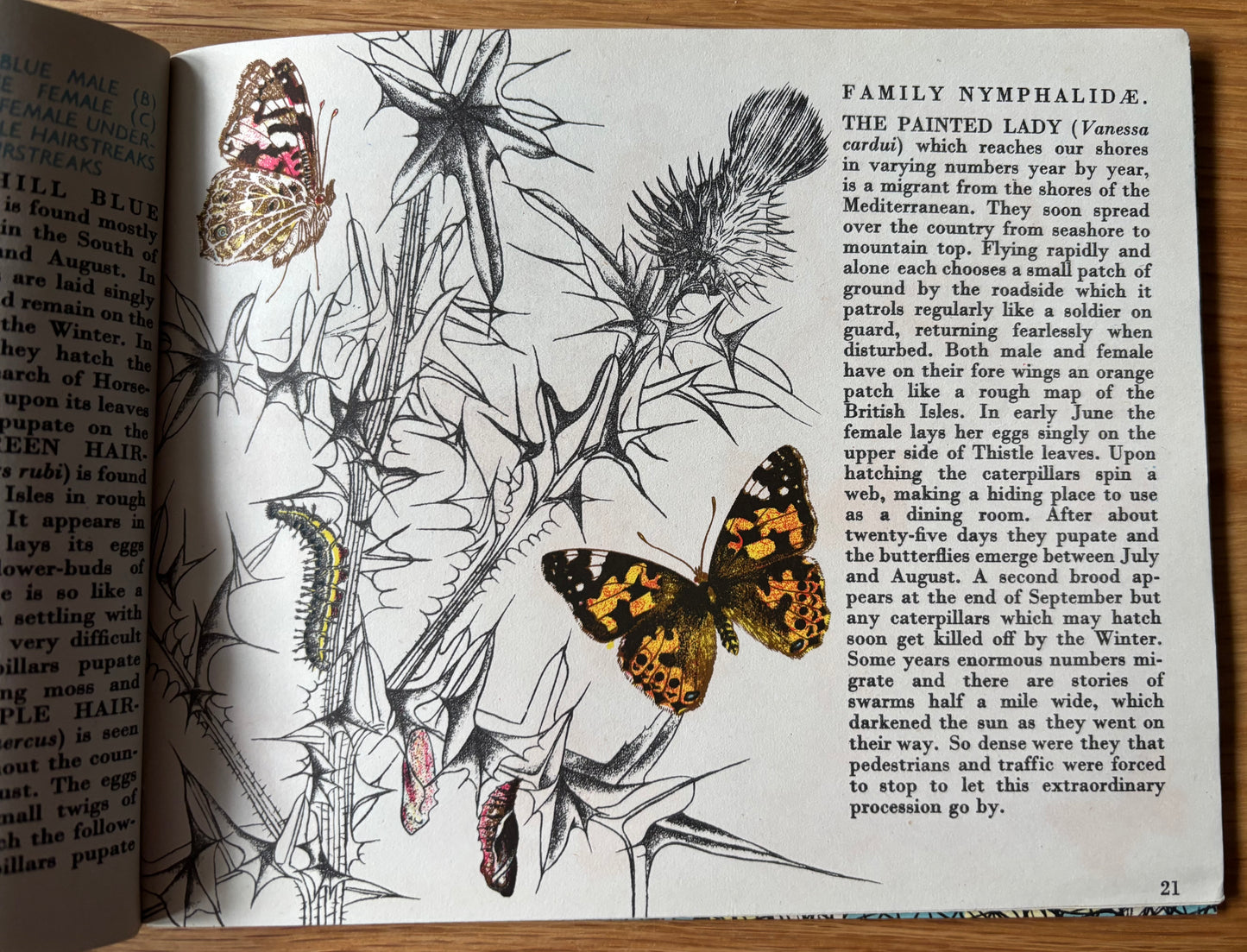Richard Chopping BUTTERFLIES IN BRITAIN HB Puffin Picture Book ILLUSTRATED NATURE