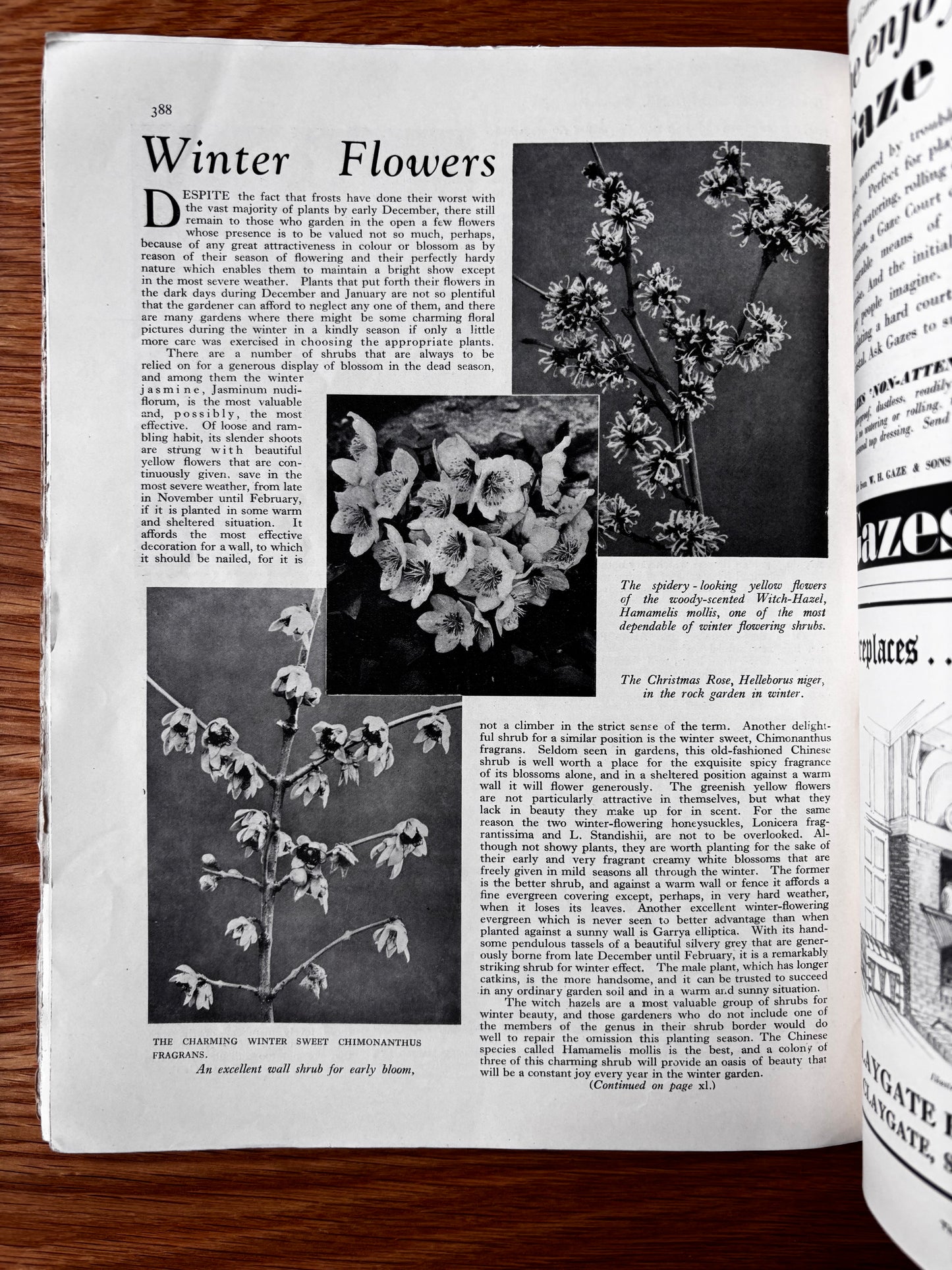 1930’s HOMES AND GARDENS Magazine January 1934 Illustrated ADVERTS