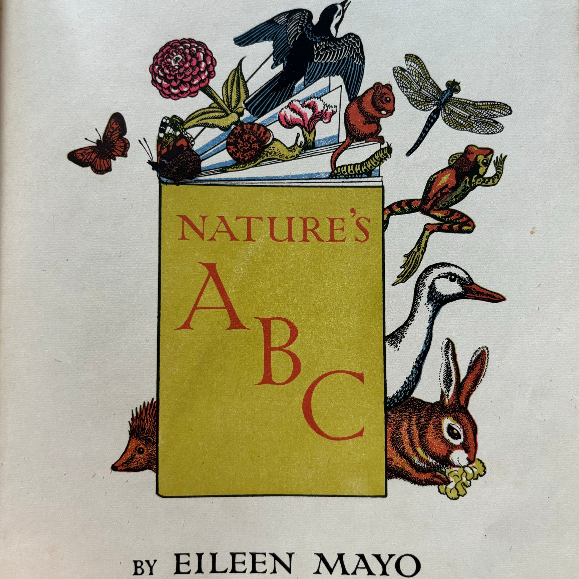 Eileen Mayo NATURE’S ABC 1940’s Illustrated Universal Text Books - transpontinebooks