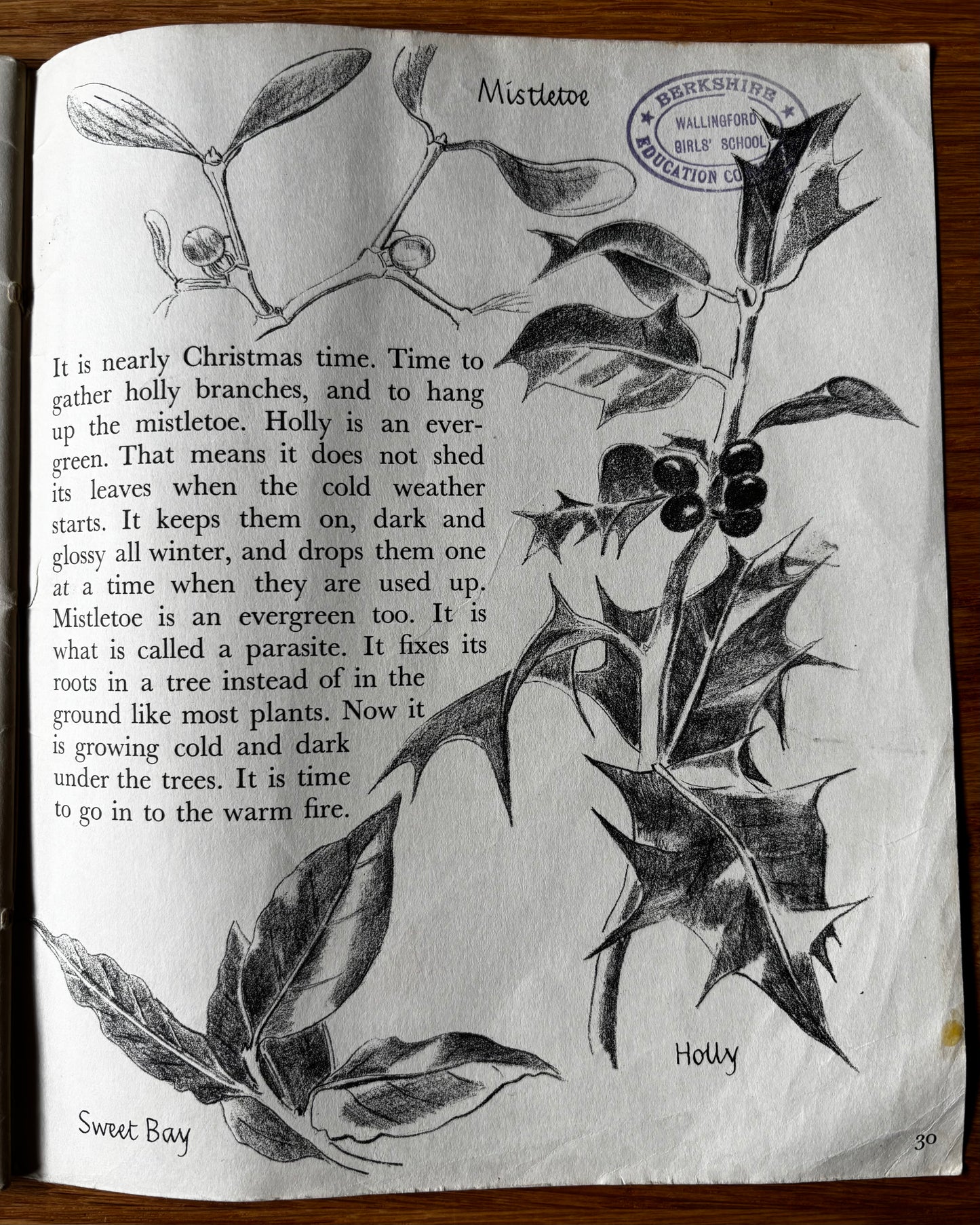 Trekkie Ritchie Parsons COME AND SEE IN AUTUMN Chatto & Windus NATURE BOOK Open Your Eyes