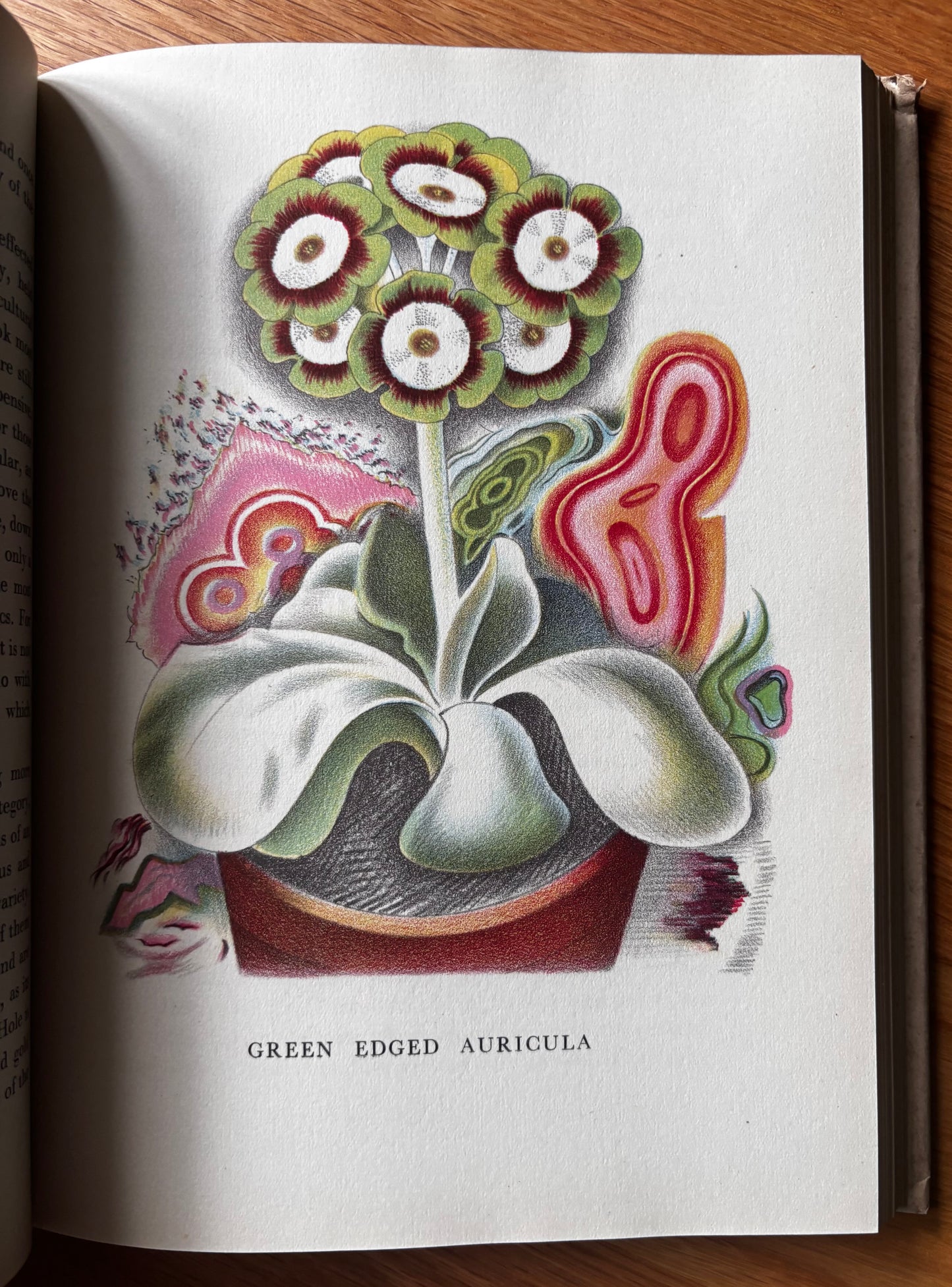 OLD FASHIONED FLOWERS 1948 DJ Sacheverell SItwell John Farleigh Illustrated