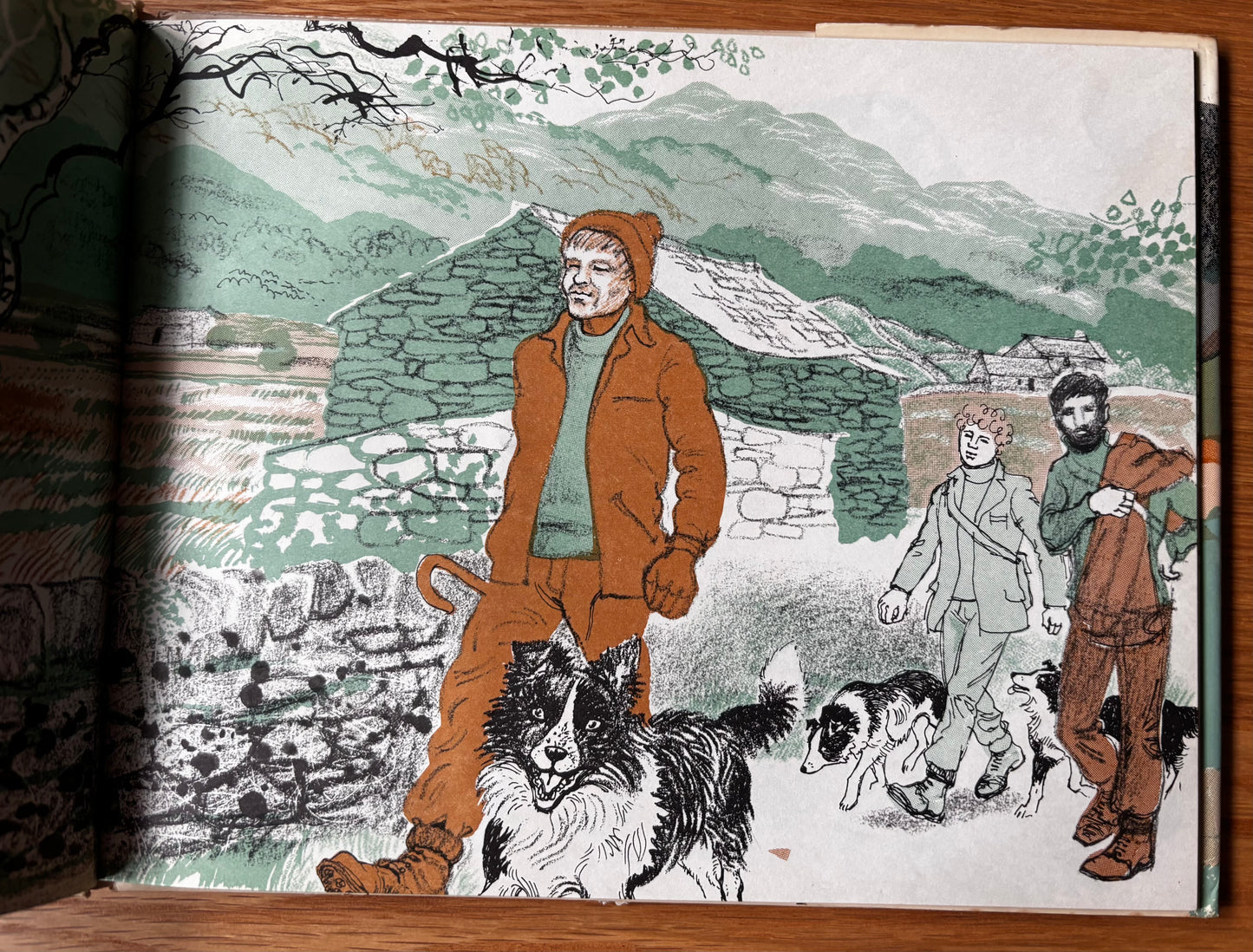 Juliette Palmer MOUNTAIN WOOL DJ 1st 1974 MacMillan SHEEP FARMING COUNTRY LIFE