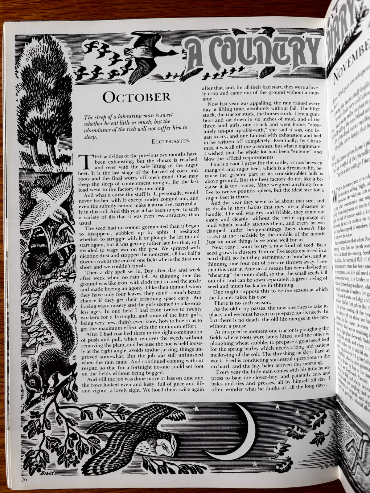 THE COUNTRY BAZAAR Magazine Autumn 1987 Blackbirds Ditchling CRAFTS ARTIST