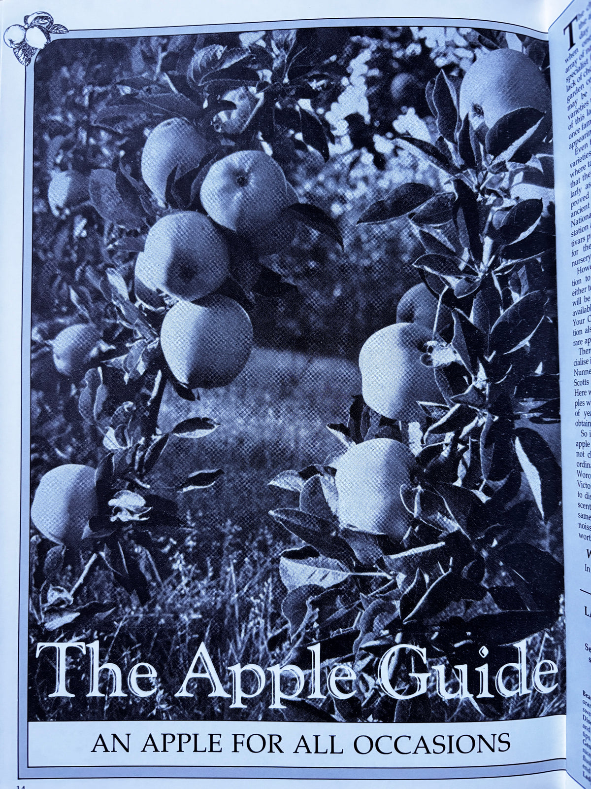 THE COUNTRY BAZAAR Magazine Autumn 1985 Apples Recipes CRAFTS ARTIST