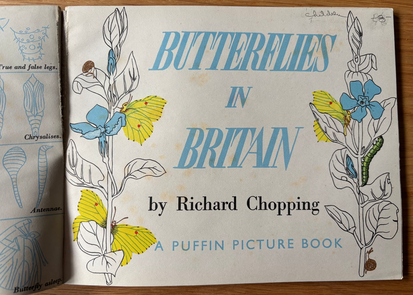 Richard Chopping BUTTERFLIES IN BRITAIN HB Puffin Picture Book ILLUSTRATED NATURE