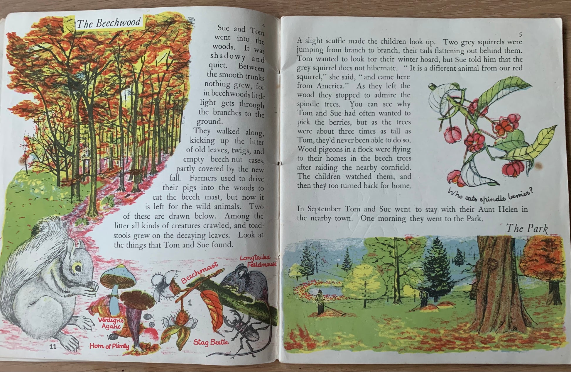 Elsie Few OUT OF DOORS Chatto & Windus NATURE STUDY Aug - Dec School Book - transpontinebooks