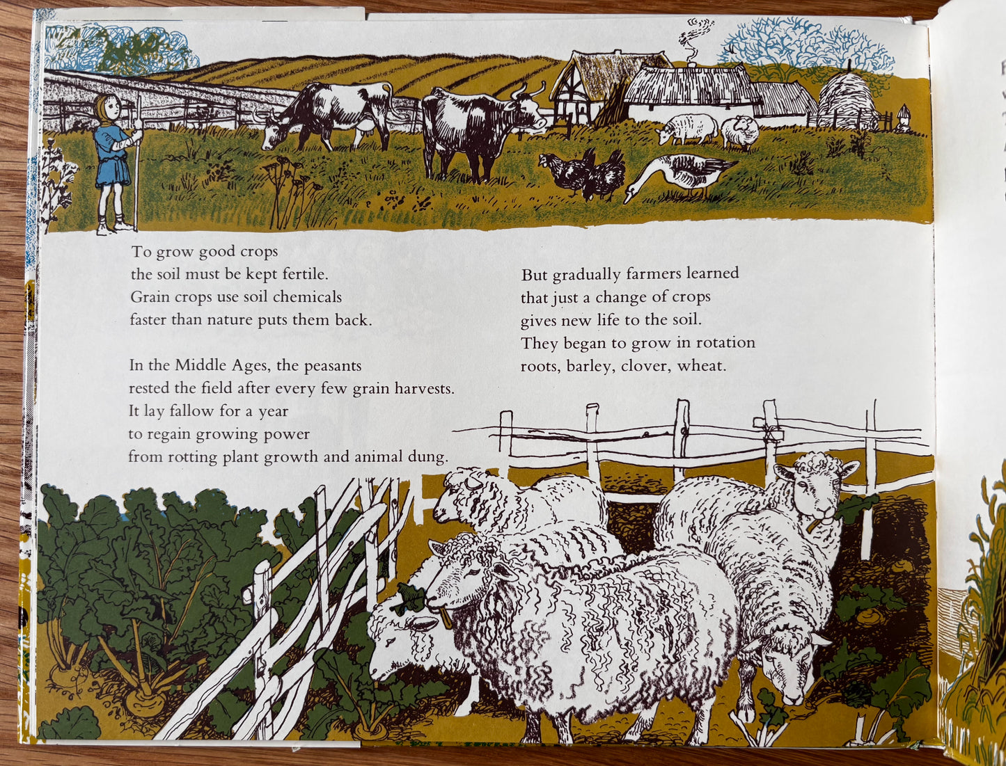 Juliette Palmer BARLEY SOW BARLEY GROW DJ 1st 1978 MacMillan FARMING COUNTRY LIFE