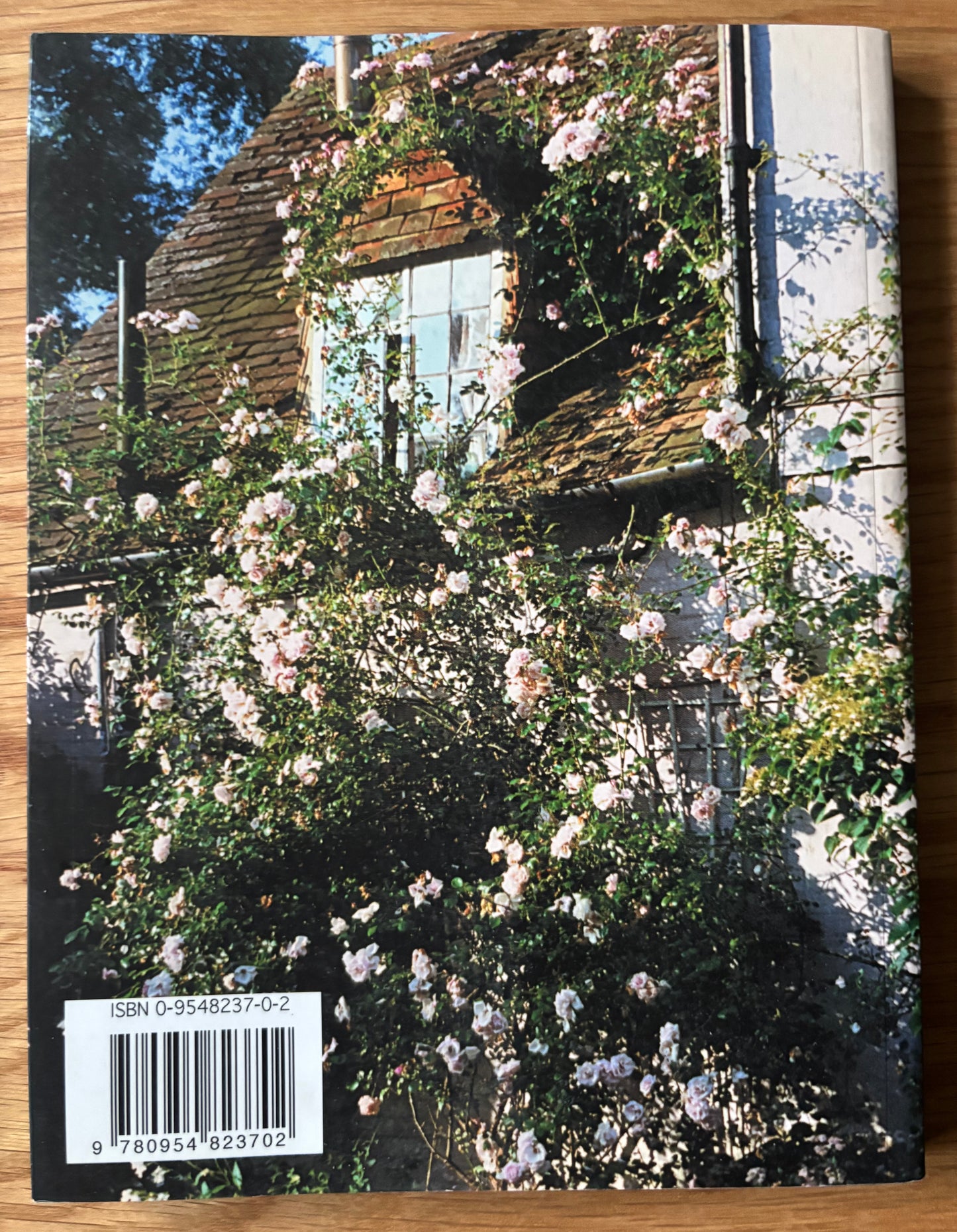 Mary Wondrausch Signed BRICKFIELDS 1st PB 2004 London Group ARTIST POTTER