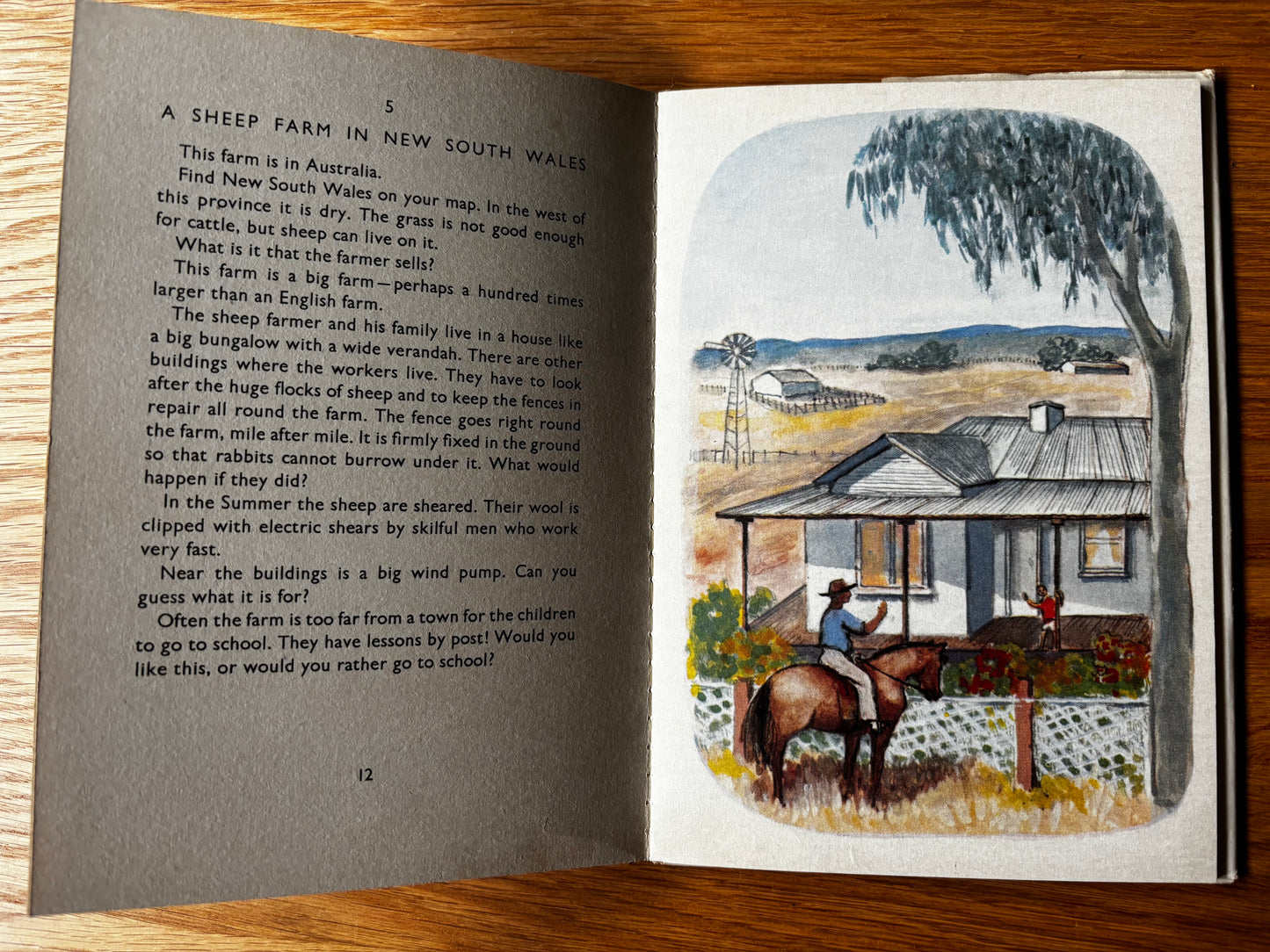 Trekkie Ritchie HOMES OF THE WORLD Chatto & Windus 1963 ILLUSTRATED Parsons