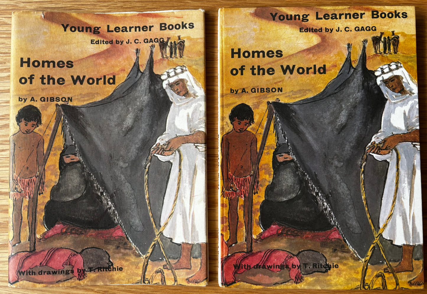 Trekkie Ritchie HOMES OF THE WORLD Chatto & Windus 1963 ILLUSTRATED Parsons