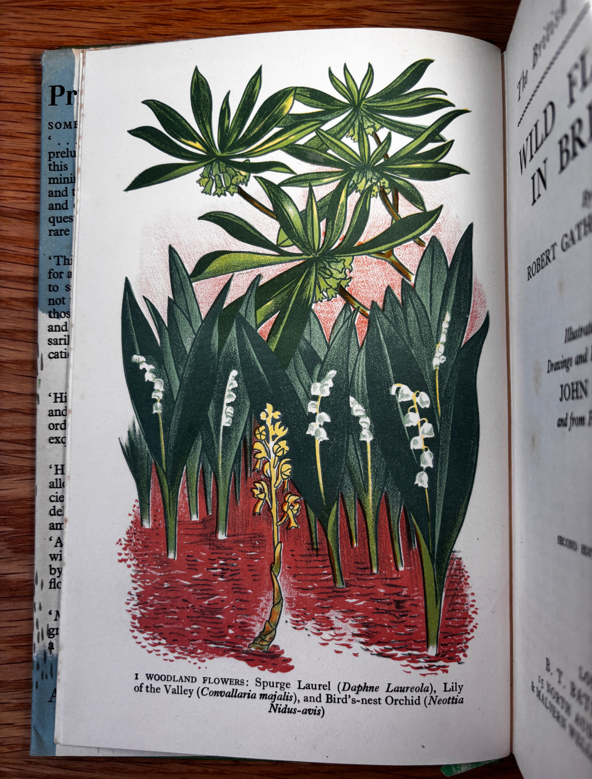 John Nash WILD FLOWERS IN BRITAIN 1943 HB DJ Robert Gathorne-Hardy ILLUSTRATED