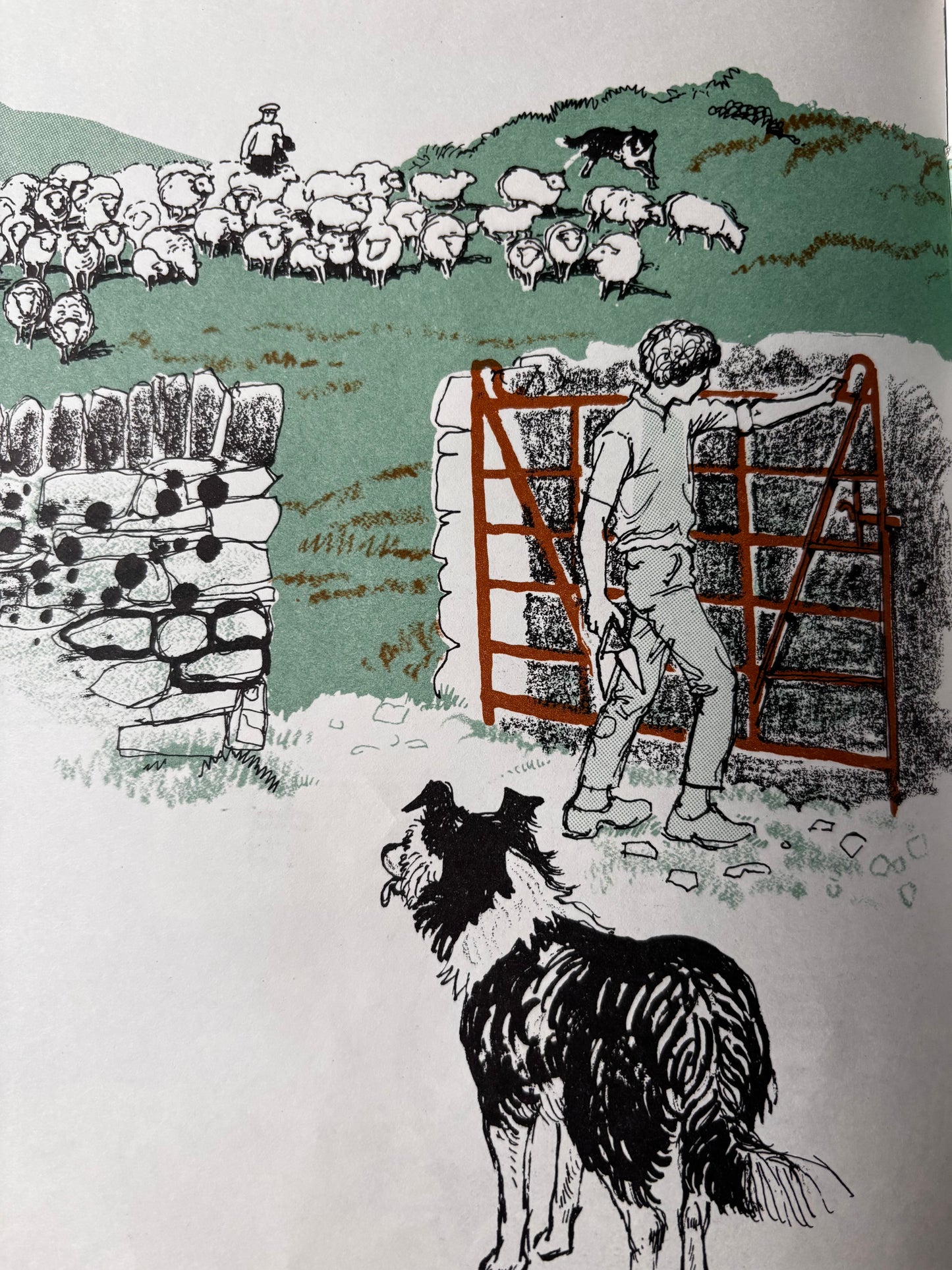 Juliette Palmer MOUNTAIN WOOL DJ 1st 1974 MacMillan SHEEP FARMING COUNTRY LIFE