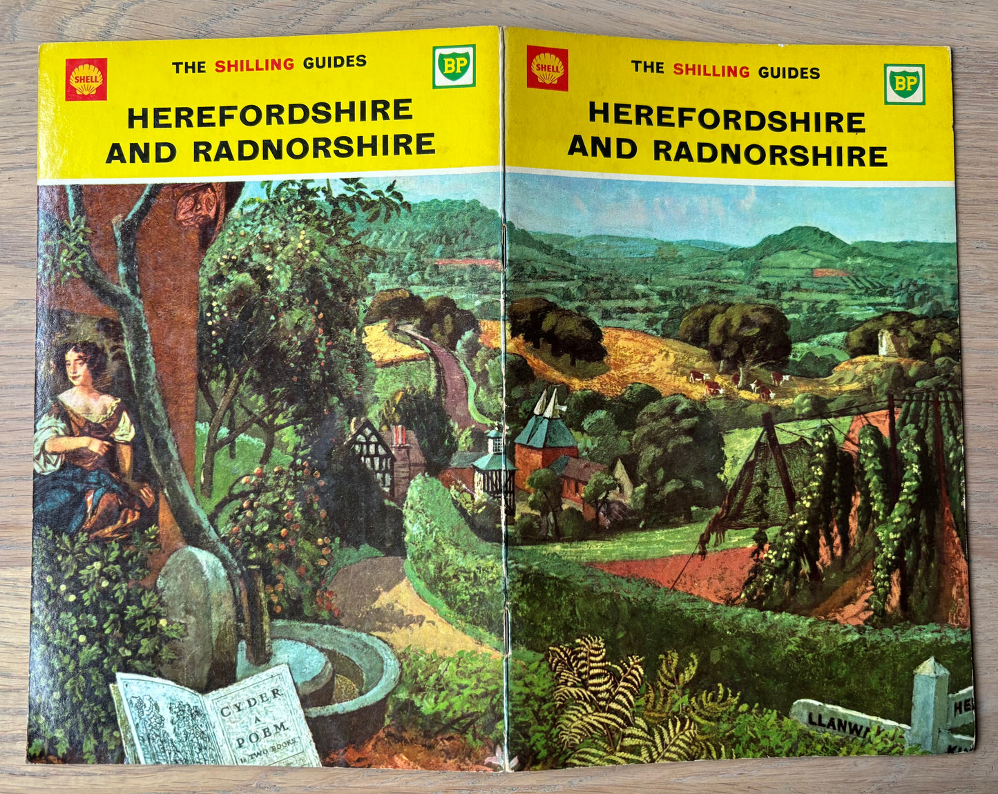 John Aldridge HEREFORDSHIRE SHELL SHILLING GUIDE 1963 Illustrated Gt Bardfield