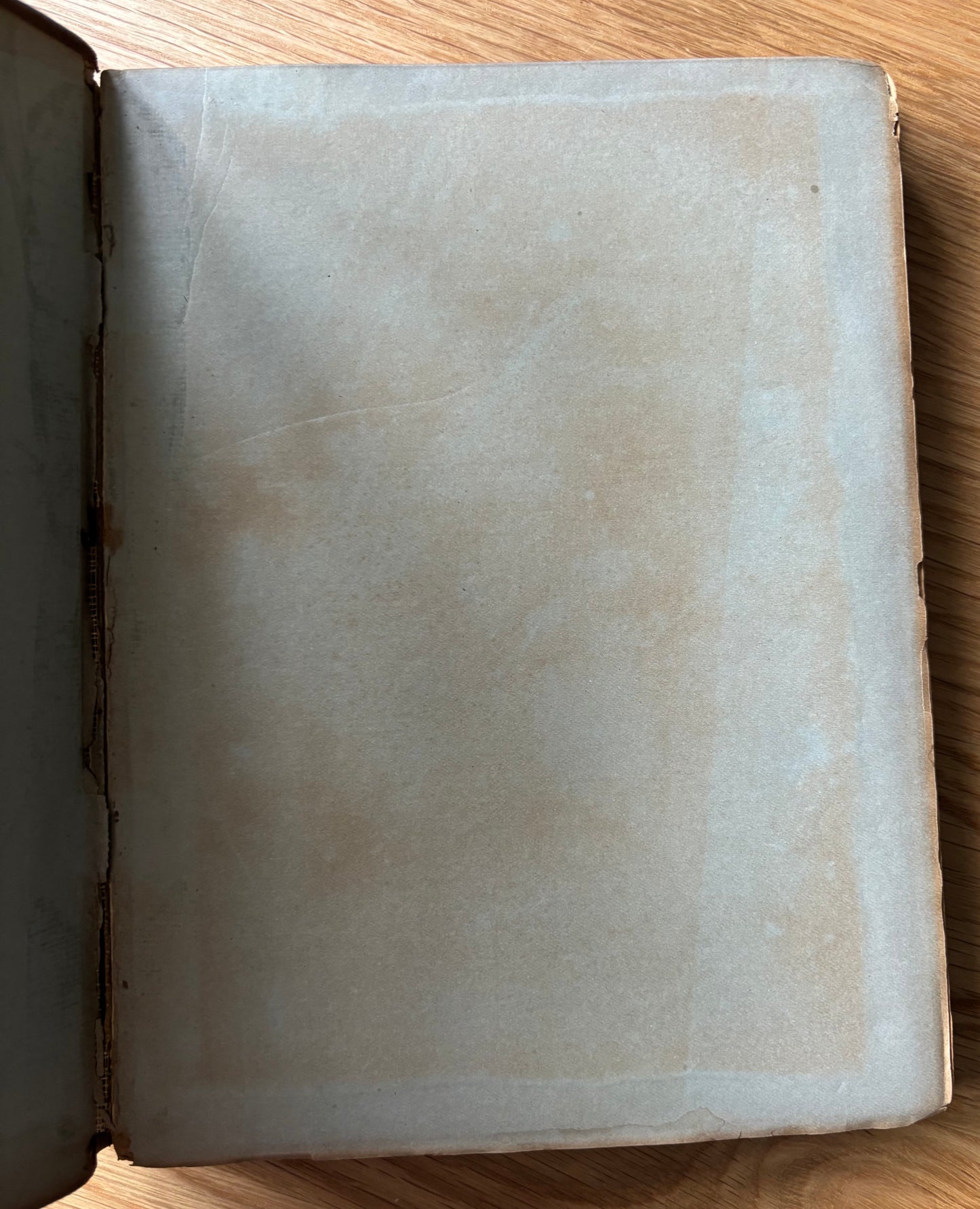 SCOTTISH ARTS & CRAFTS John Duncan CELTIC REVIVAL Evergreen PATRICK GEDDES 1896