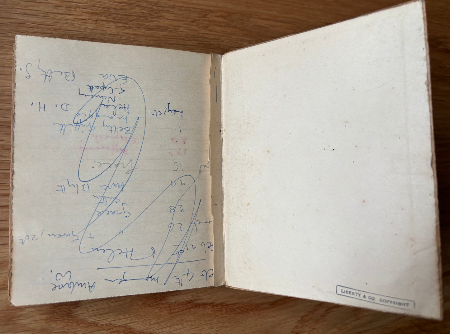 1910's ARTS & CRAFTS LIBERTY DIARY Jessie M King Style Binding OF LONDON