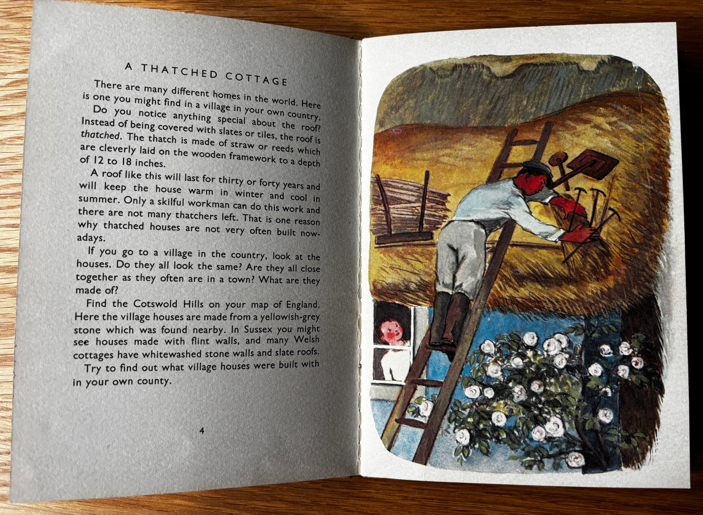 Trekkie Ritchie HOMES OF THE WORLD Chatto & Windus 1963 ILLUSTRATED Parsons