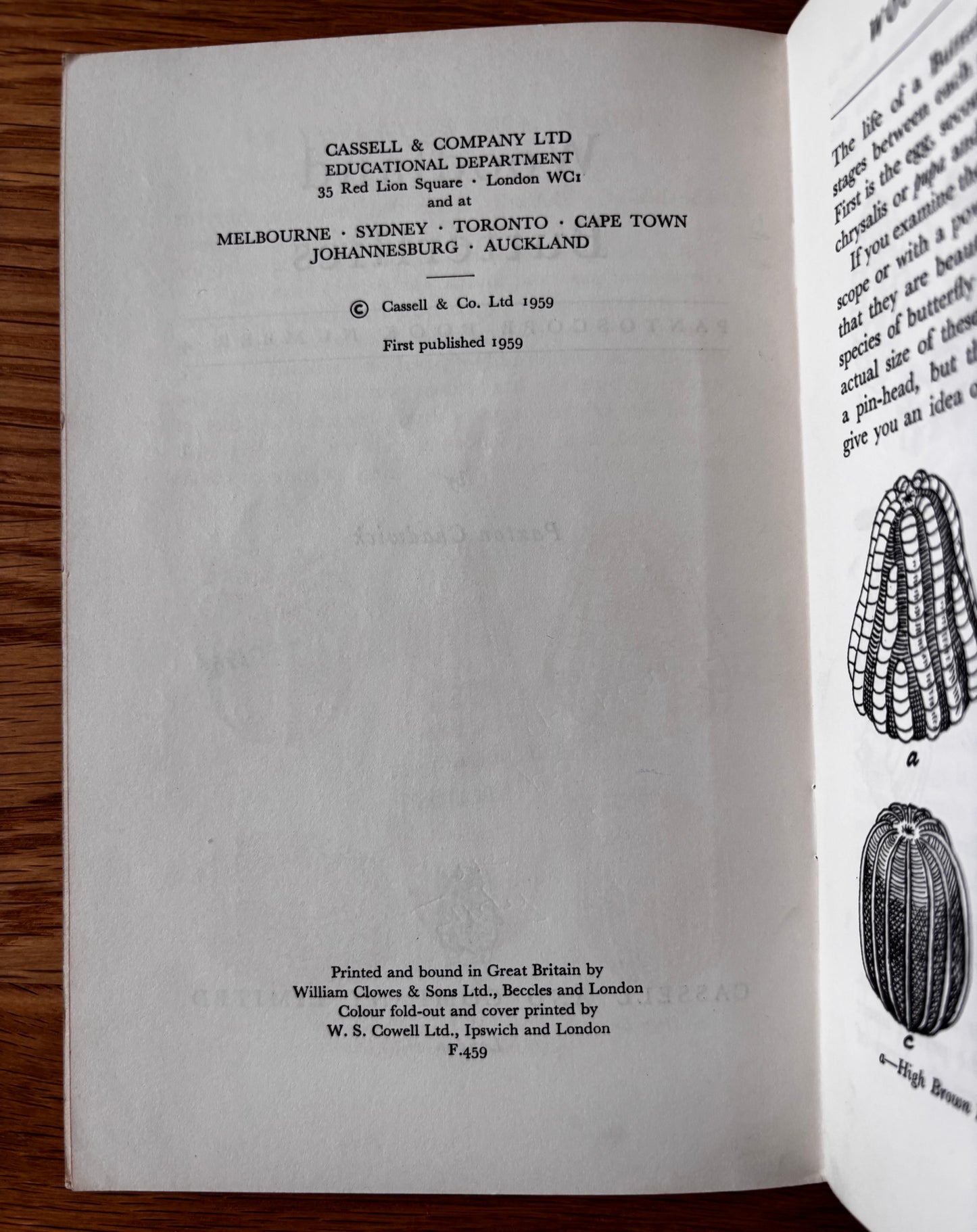 PANTOSCOPE BOOK Woodland Butterflies PAXTON CHADWICK 1st Ed 1959 Cassell