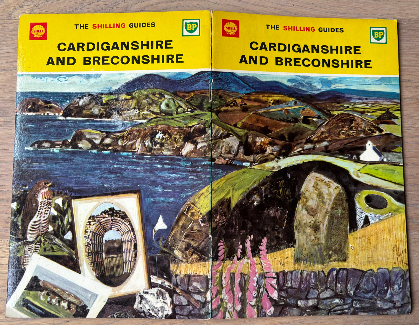 Keith Grant CARDIGANSHIRE BRECONSHIRE SHELL SHILLING GUIDE 1963 Illustrated
