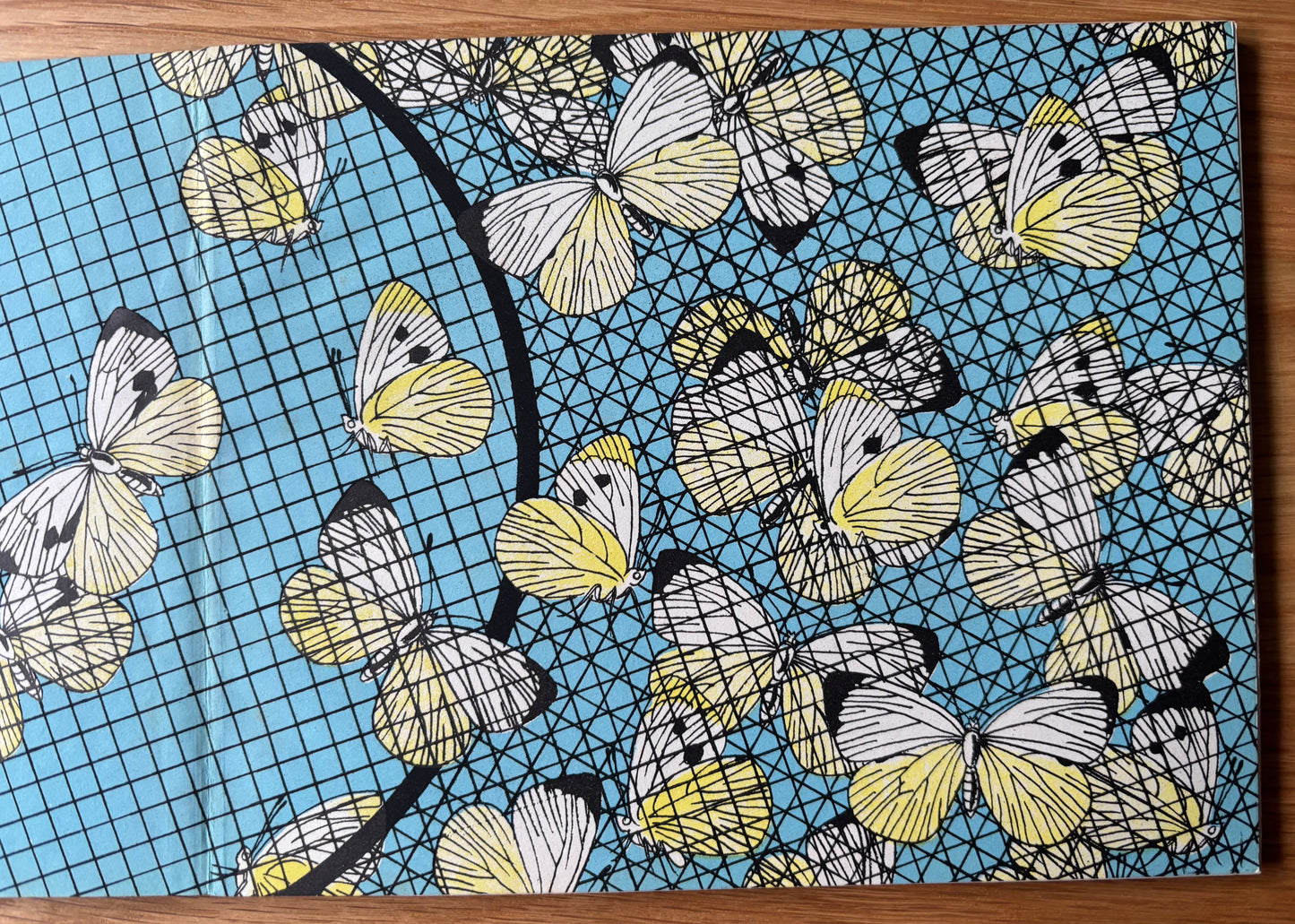 Richard Chopping BUTTERFLIES IN BRITAIN HB Puffin Picture Book ILLUSTRATED NATURE