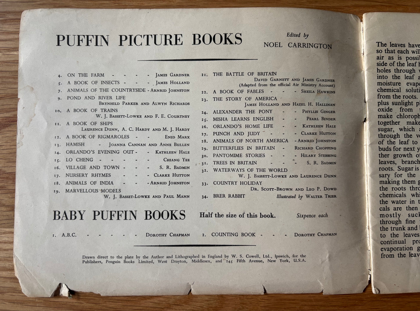 S R Badmin TREES IN BRITAIN  Puffin Picture Book No 31 1st  Ed  ILLUSTRATED