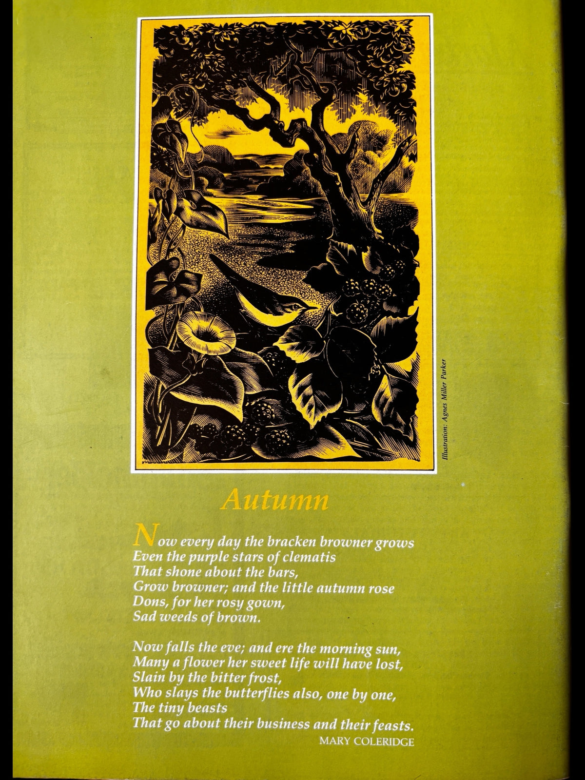 THE COUNTRY BAZAAR Magazine Autumn 1987 Blackbirds Ditchling CRAFTS ARTIST