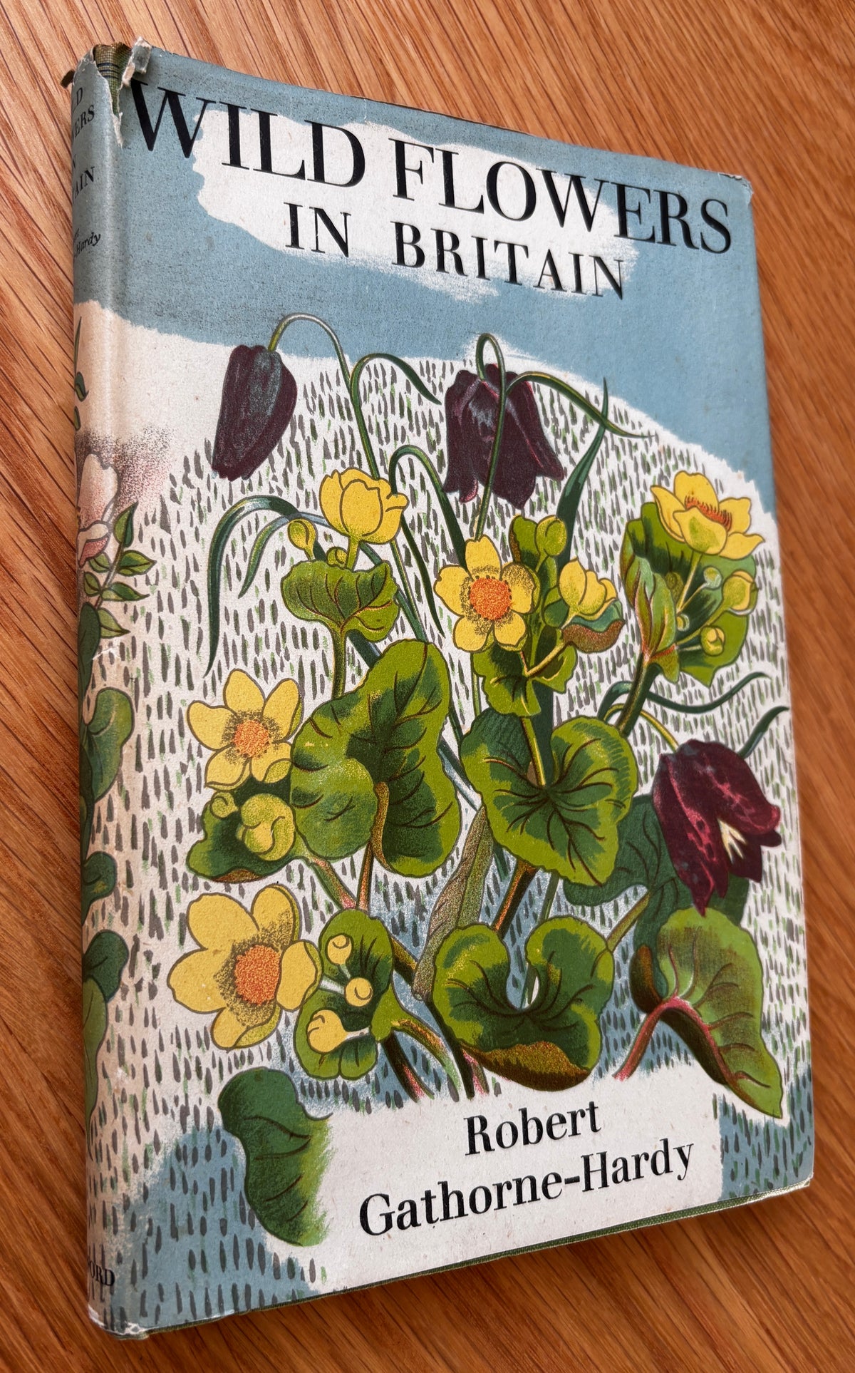 John Nash WILD FLOWERS IN BRITAIN 1943 HB DJ Robert Gathorne-Hardy ILLUSTRATED