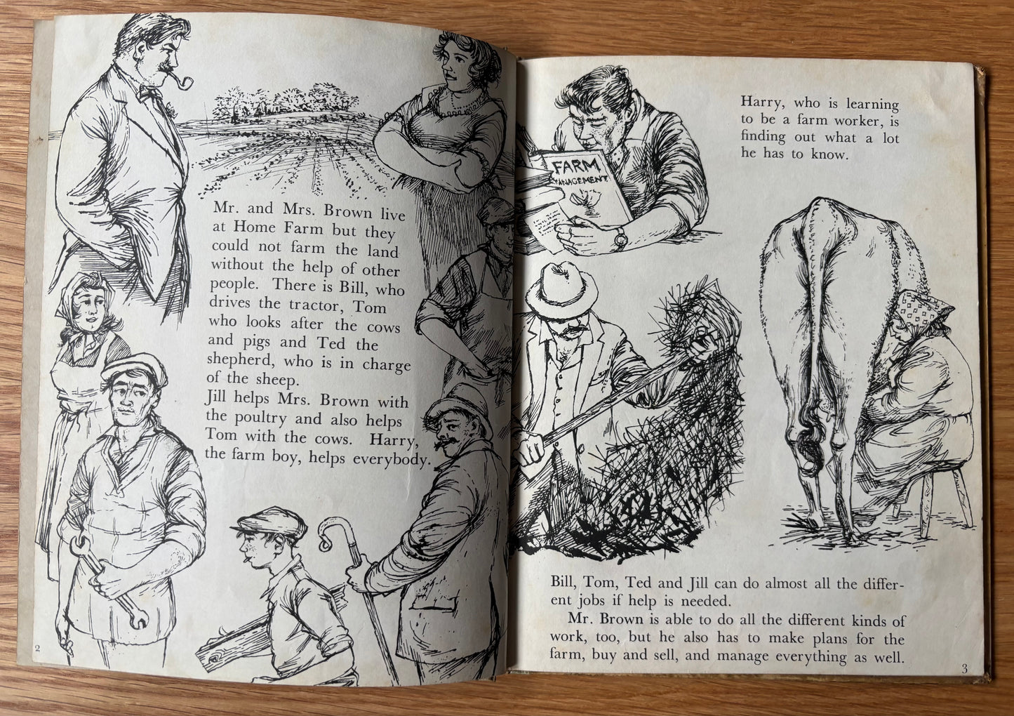 Barbara Lambourne HOME FARM AT WORK Chatto & Windus FARMING ART 1957 Schools Book