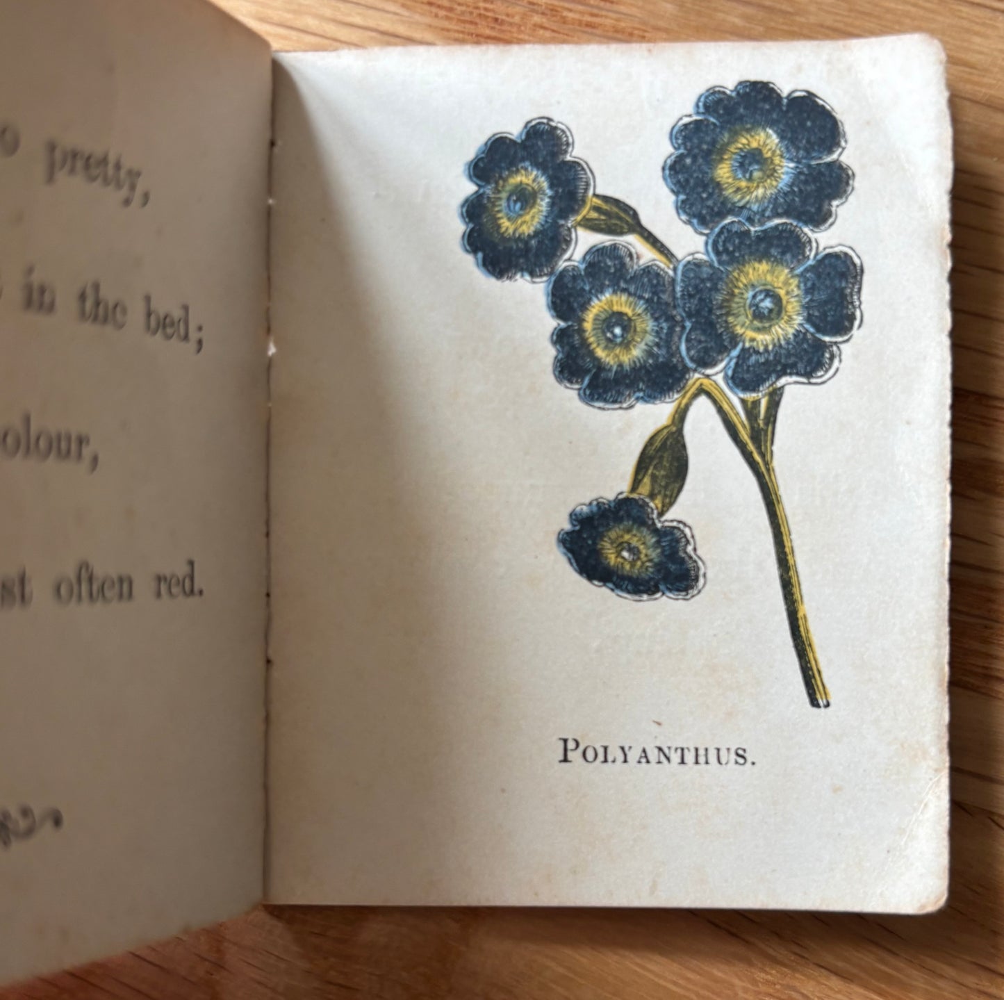 MINIATURE VICTORIAN Nursery Library Flowers BOOK George Routledge