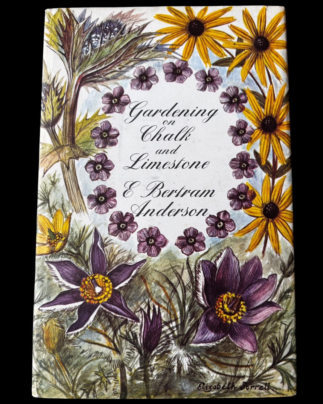 Elizabeth Sorrell GARDENING ON CHALK & LIMESTONE 1st DJ 1965 E Bertram Anderson