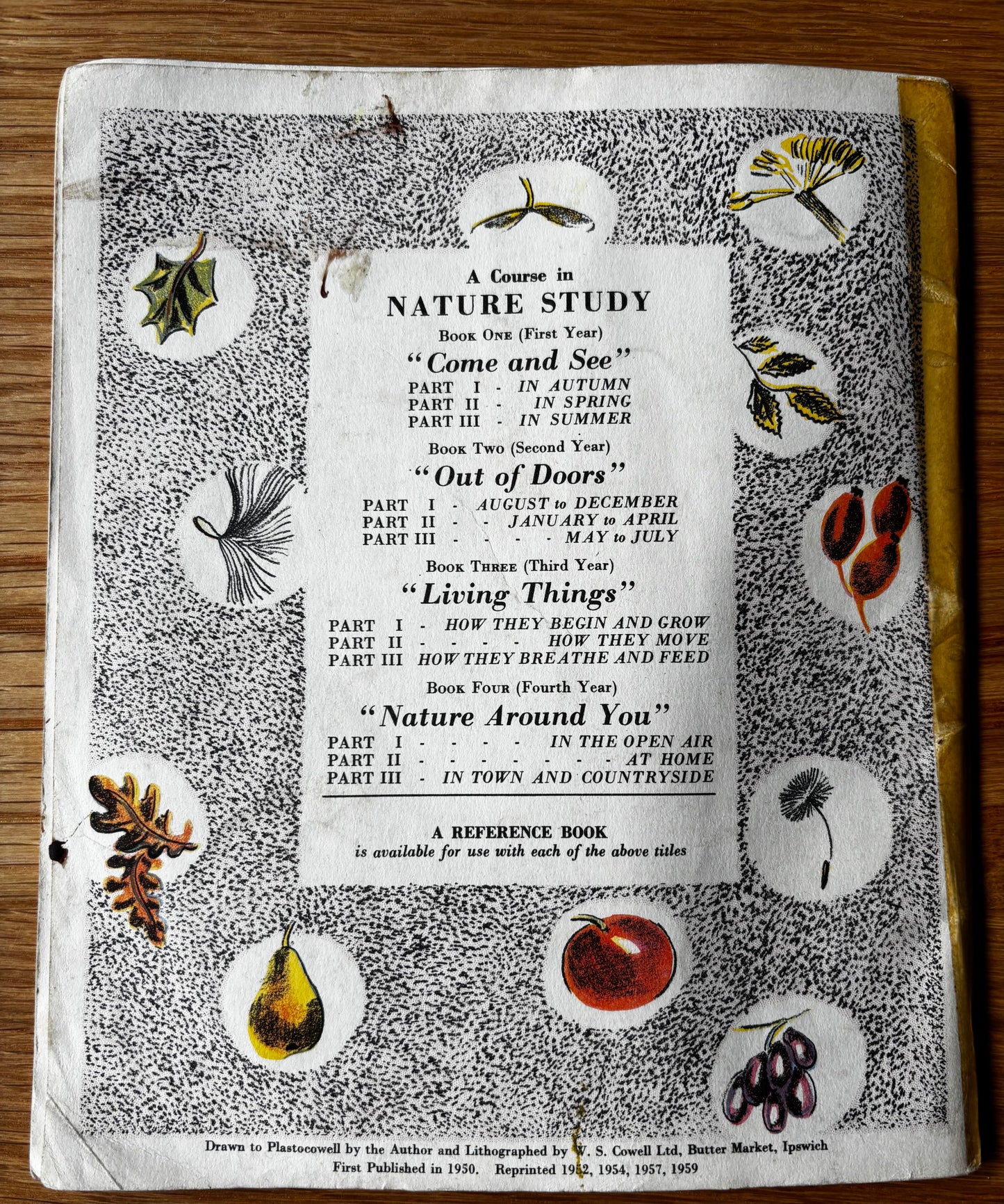 Trekkie Ritchie Parsons COME AND SEE IN AUTUMN Chatto & Windus NATURE BOOK Open Your Eyes