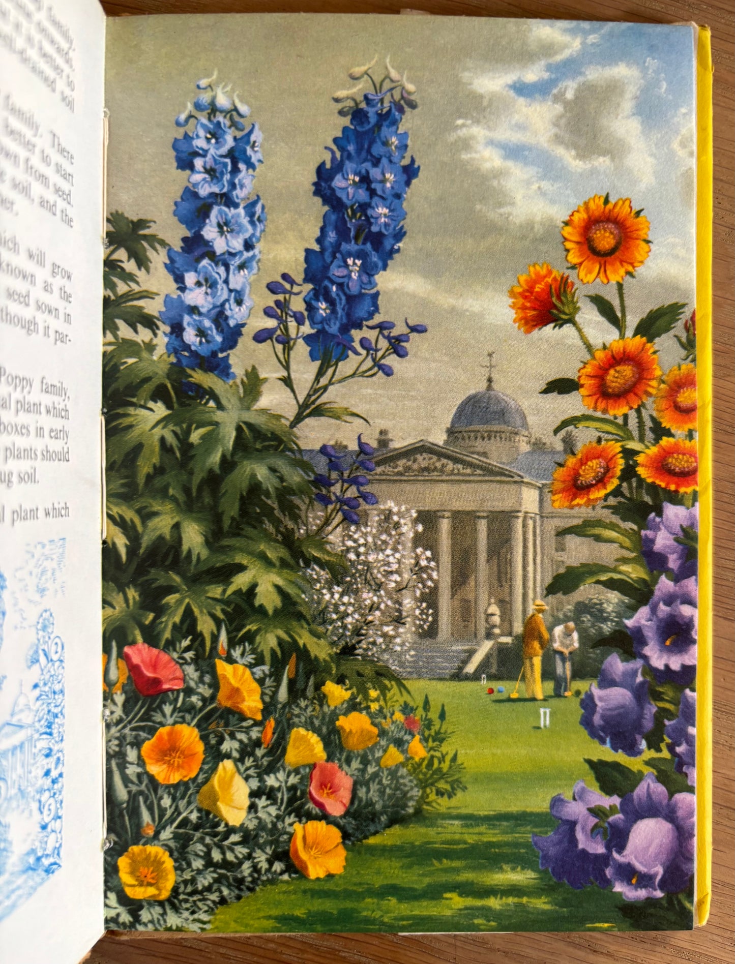LADYBIRD BOOK OF GARDEN FLOWERS DJ Illustrated John Leigh-Pemberton 1960