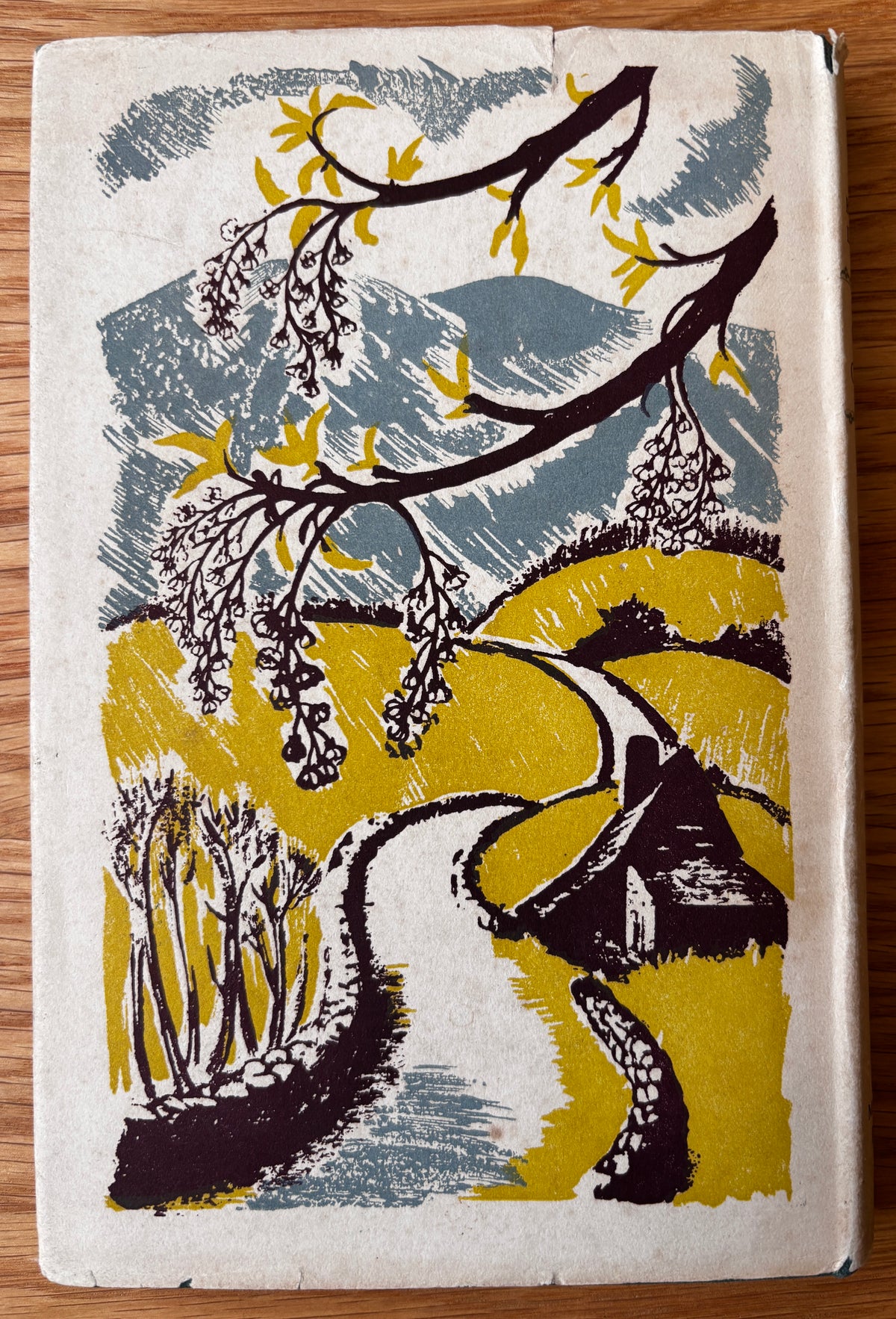 Clare Leighton GREEN CORNERS 1947 1st HB DJ ILLUSTRATED Bertha Damon Gardening